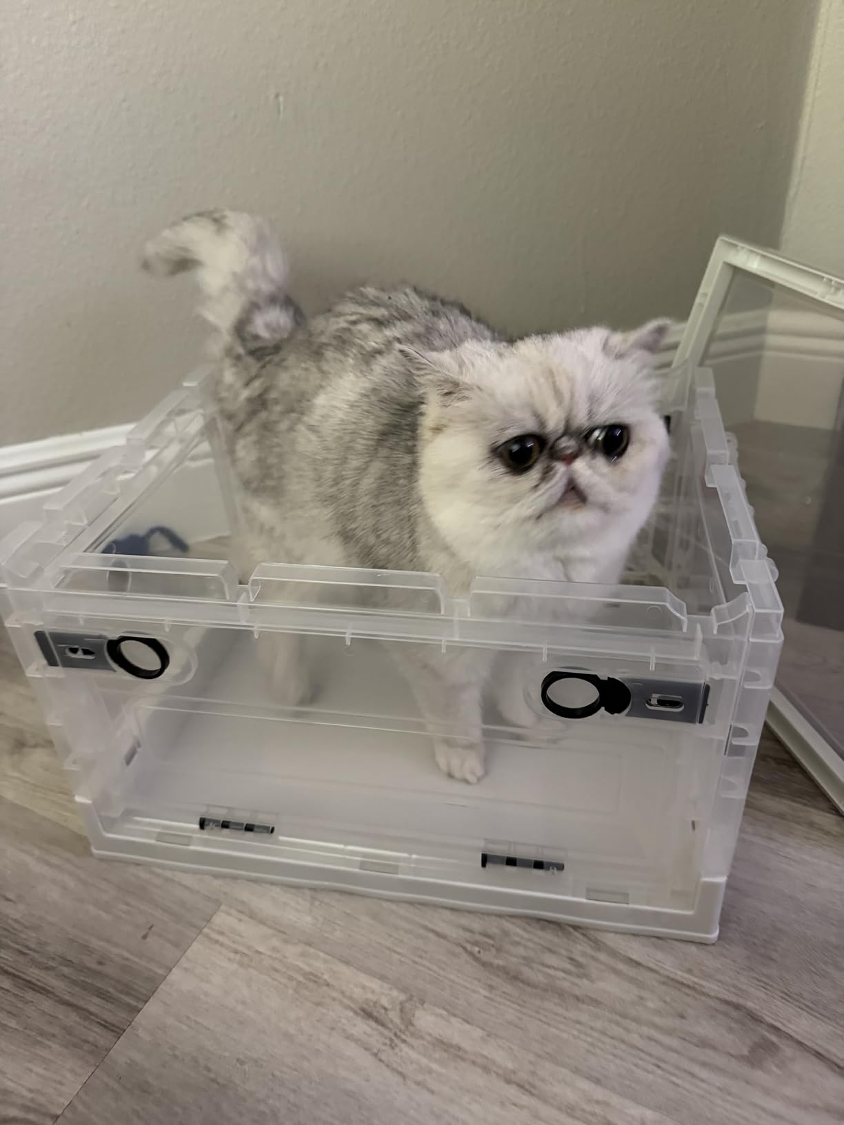 Folding Dog Oxygen Chamber Medium with Wheels, 55L Kitten Incubator Brooder Nursery, Breathable Visible Pet Incubator with Pet Urine Pad Mask Connection Valve customer photo 2