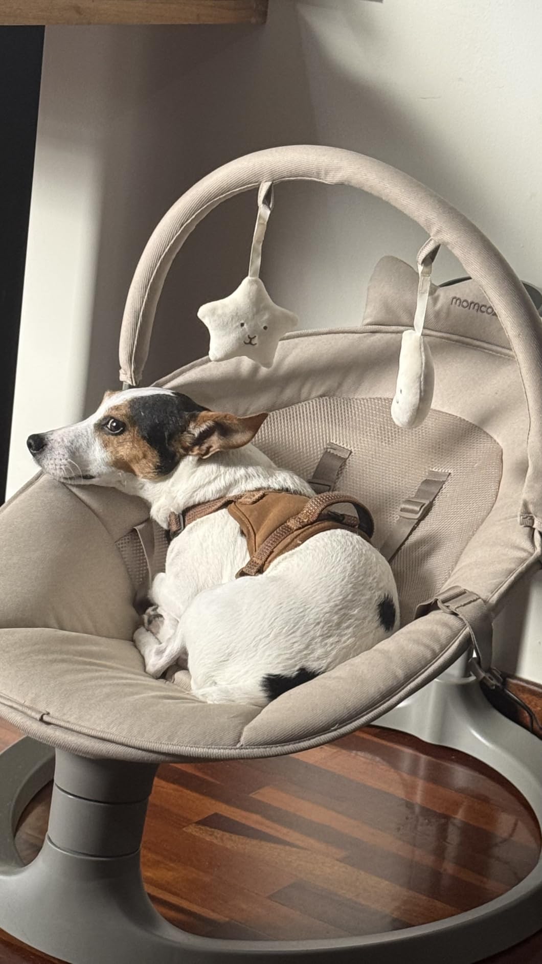 Momcozy 2-in-1 Electric Baby Swing, Dual-Arm Support System & Parent-Inspired Motions, Convertible to Toddler Seat up to 66 lbs, Adjustable Height, Lightweight, Khaki customer photo 1