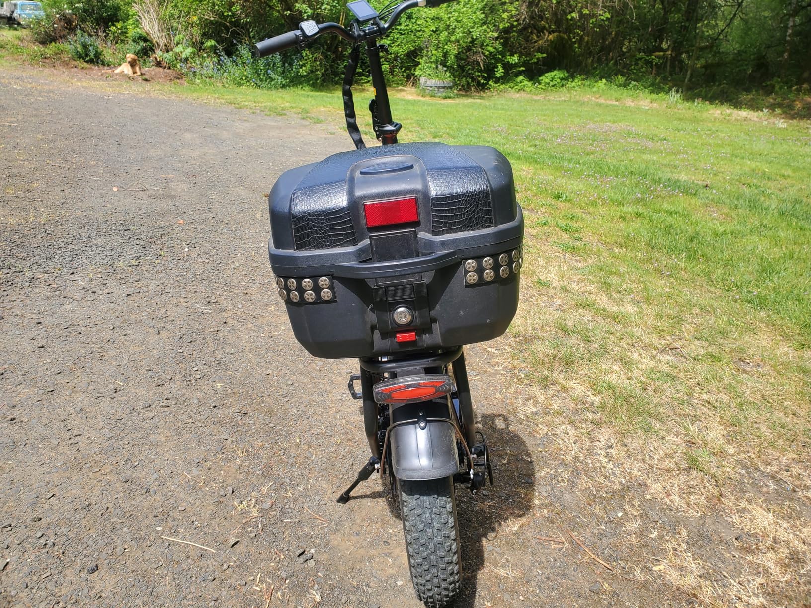 SASIKEIBIKE 1500W Folding Electric Bike for Adult, 52V 20Ah Removable Battery Ebike with 70 Mile Max, 20
