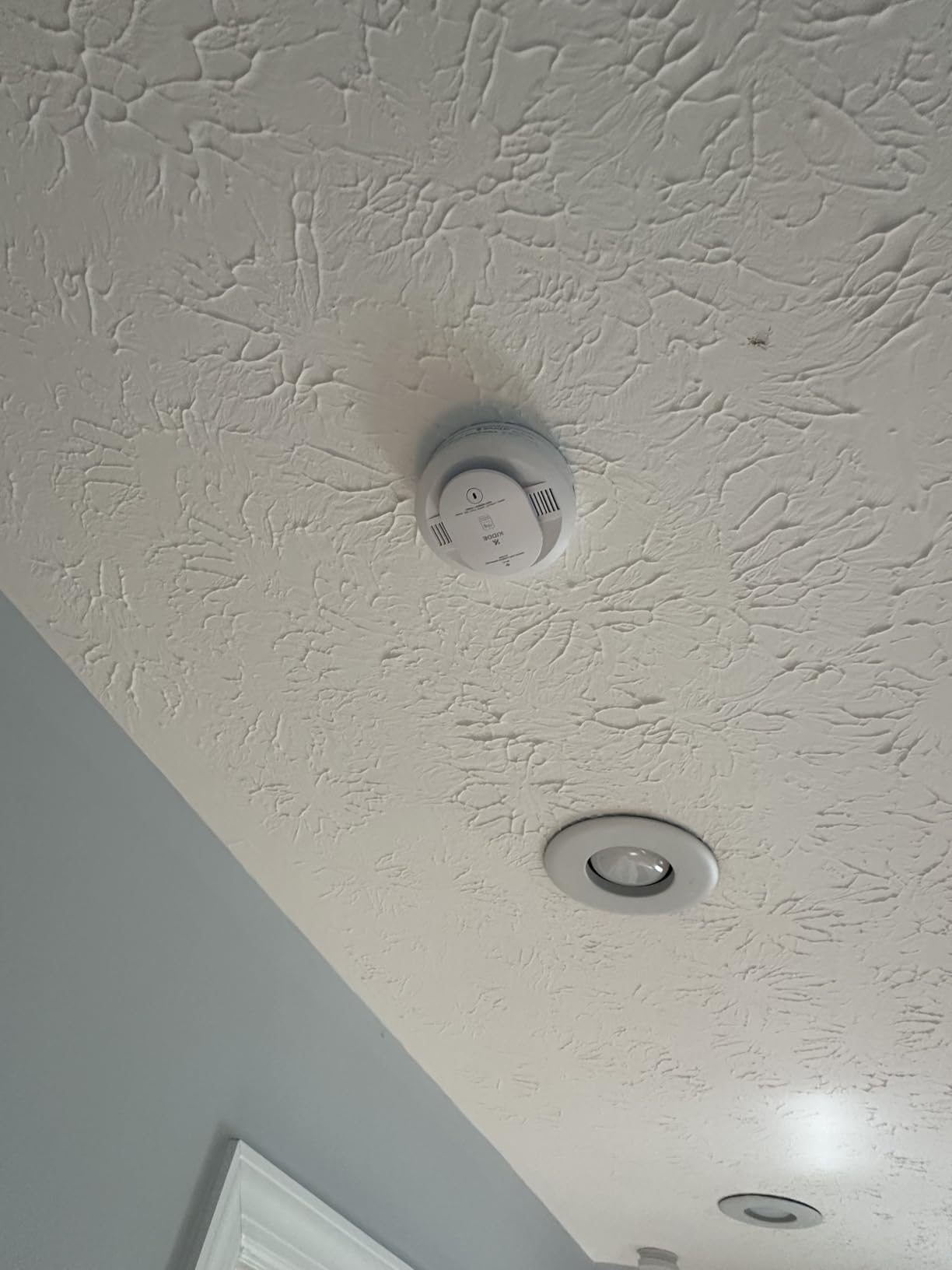 Kidde Smart Smoke and Carbon Monoxide Detector, Ring App Enabled for Real-Time Notifications, Wire-Free Interconnectivity, AA Battery Powered customer photo 2