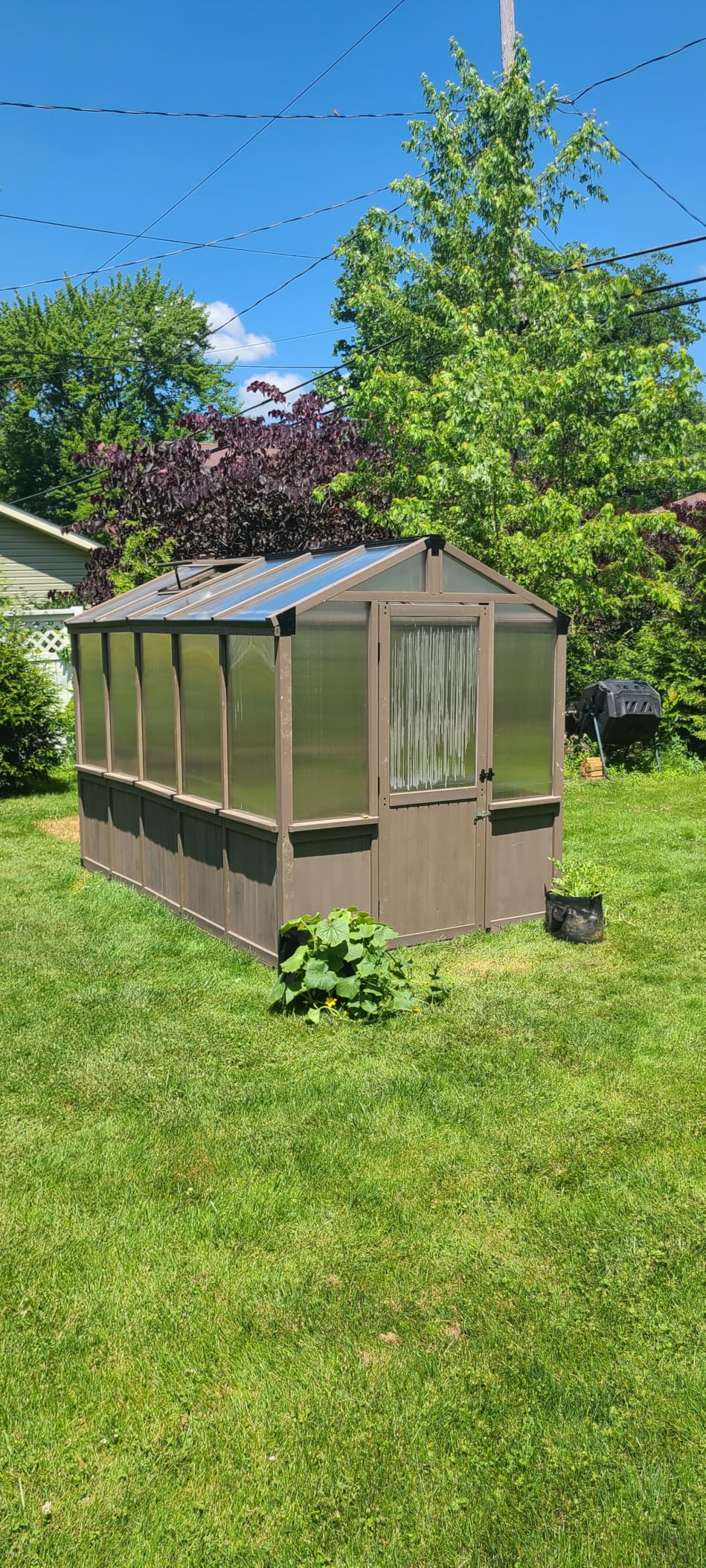 Aoxun 6x8 FT Wooden Greenhouse for Outdoors, 6MM Thick Polycarbonate Panel, Walk-in Green House Kit with Adjustable Roof Vent and Lockable Door, Heavy Duty Cedar Greenhouse, Backyard Garden, Natural customer photo 1