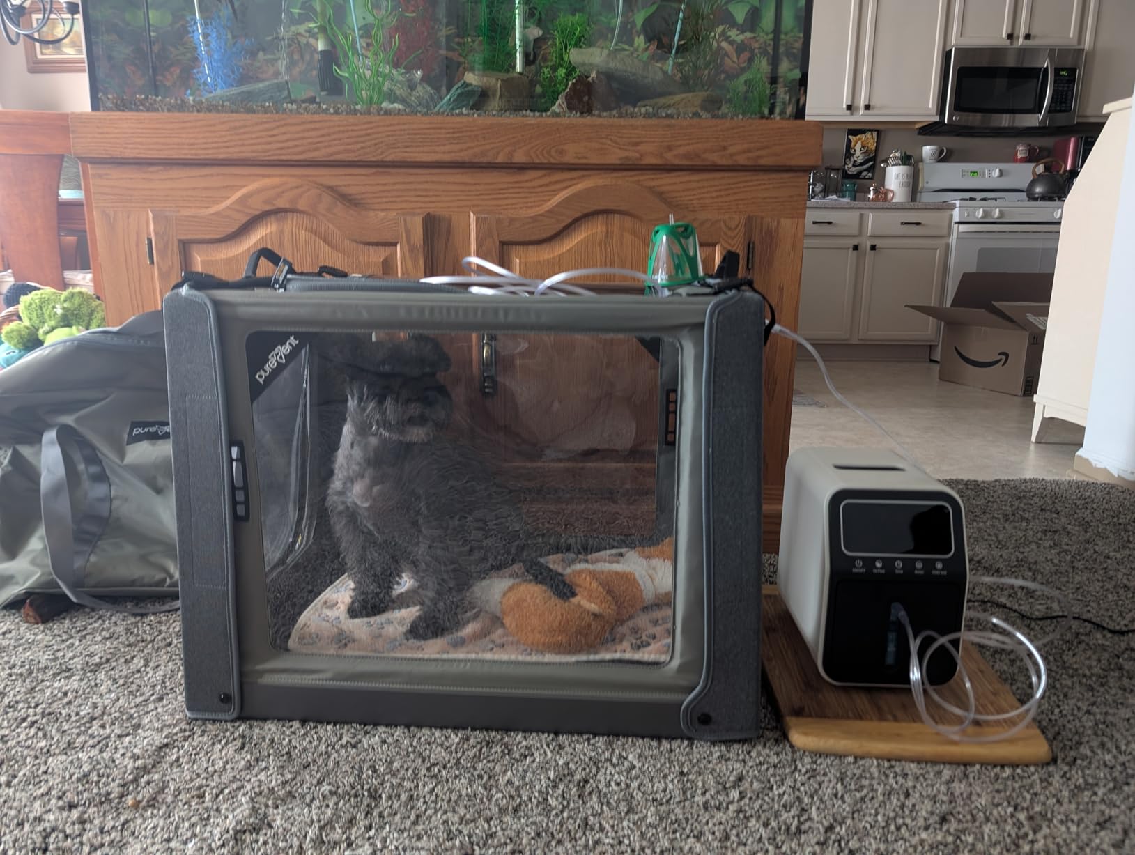 PureVent Pet Oxygen Chamber - Safe Veterinary-Grade Oxygen Therapy Cage for Dogs, Cats, Birds and Animals - Built-in Ventilation (Large - for Pets up to 70 lbs) customer photo 1
