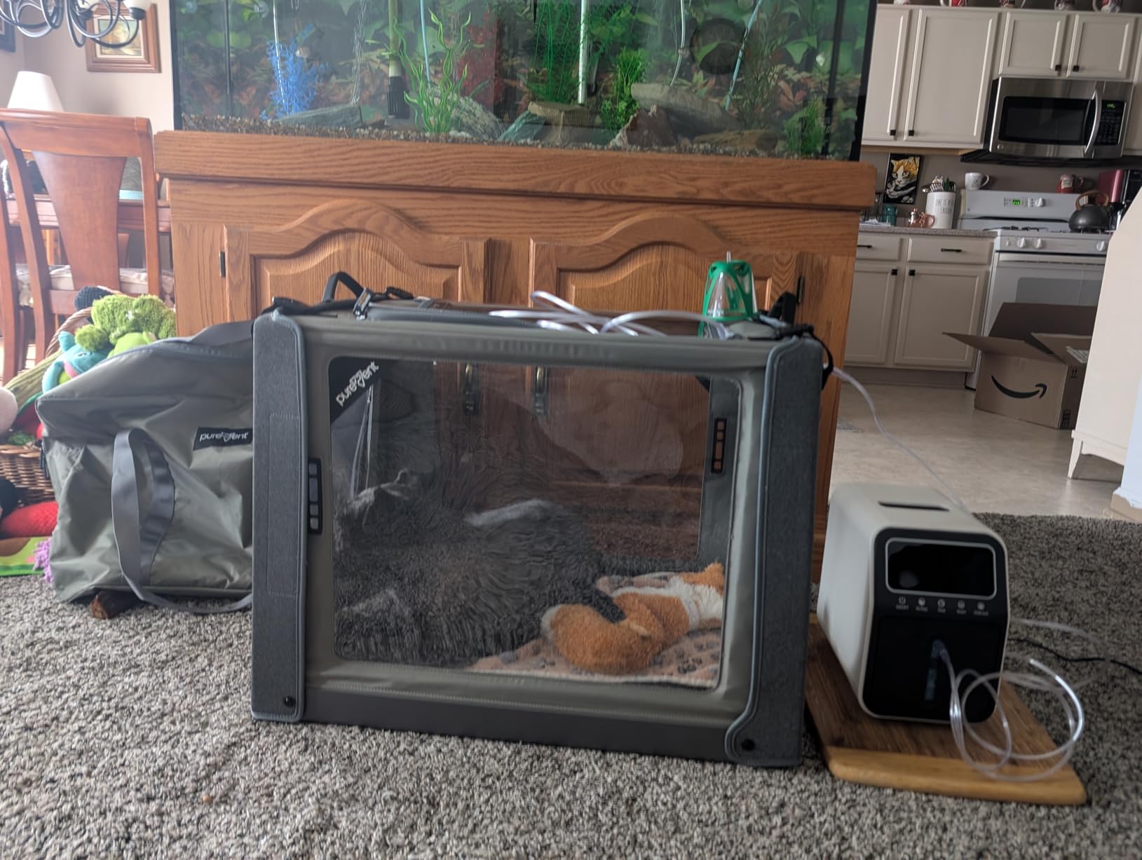 PureVent Pet Oxygen Chamber - Safe Veterinary-Grade Oxygen Therapy Cage for Dogs, Cats, Birds and Animals - Built-in Ventilation (Large - for Pets up to 70 lbs) customer photo 2