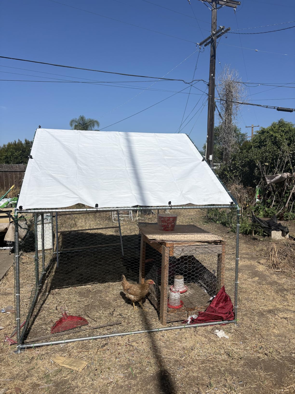 UDPATIO Large Metal Chicken Coop Walk in Run House Pen Galvanized Frame | Double Feed Door UV-Resistant Cover Outdoor Cage for Bird Duck Rabbit Hen 6-10 Silver M customer photo 1