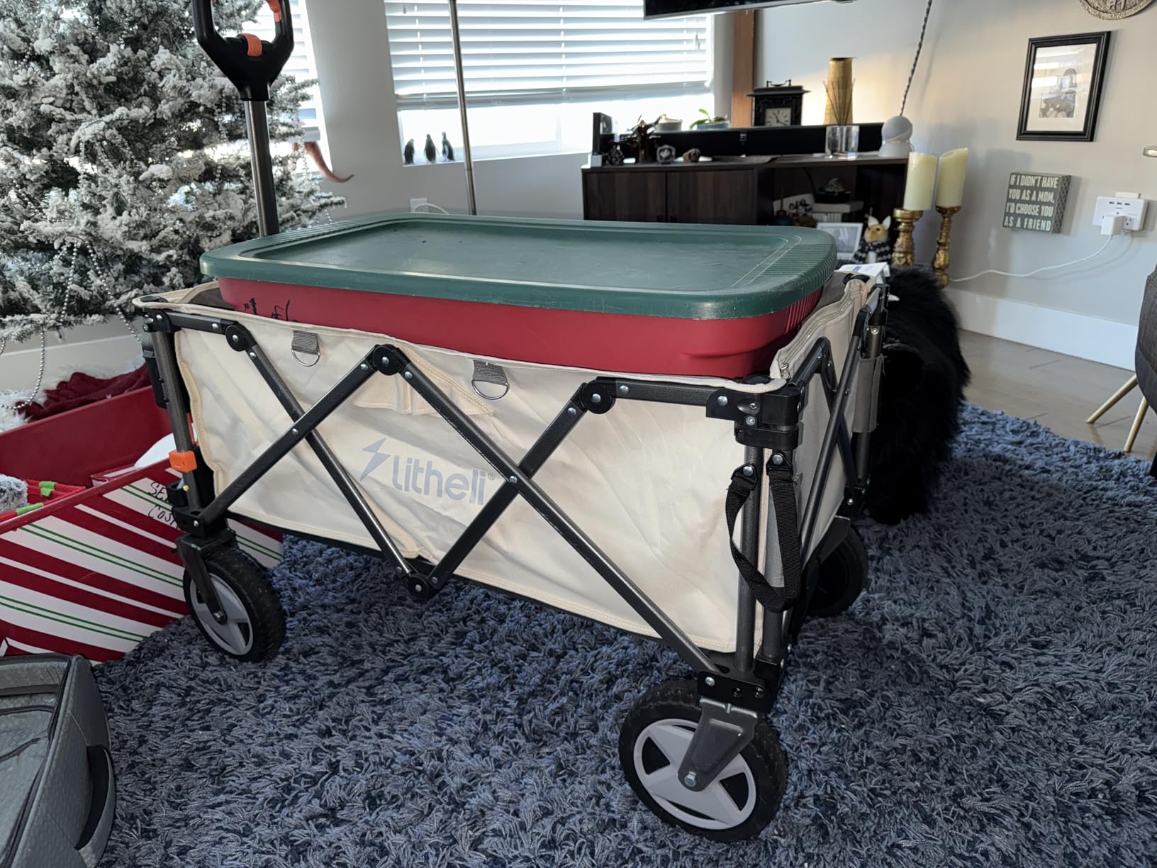 Litheli Electric Utility Wagon Cart, 150L Capacity, 450 lbs Load, Foldable Heavy-Duty Design with All-Terrain Wheels, Variable Speed Drive & Battery Power for Camping, Beach, Garden & Shopping customer photo 1