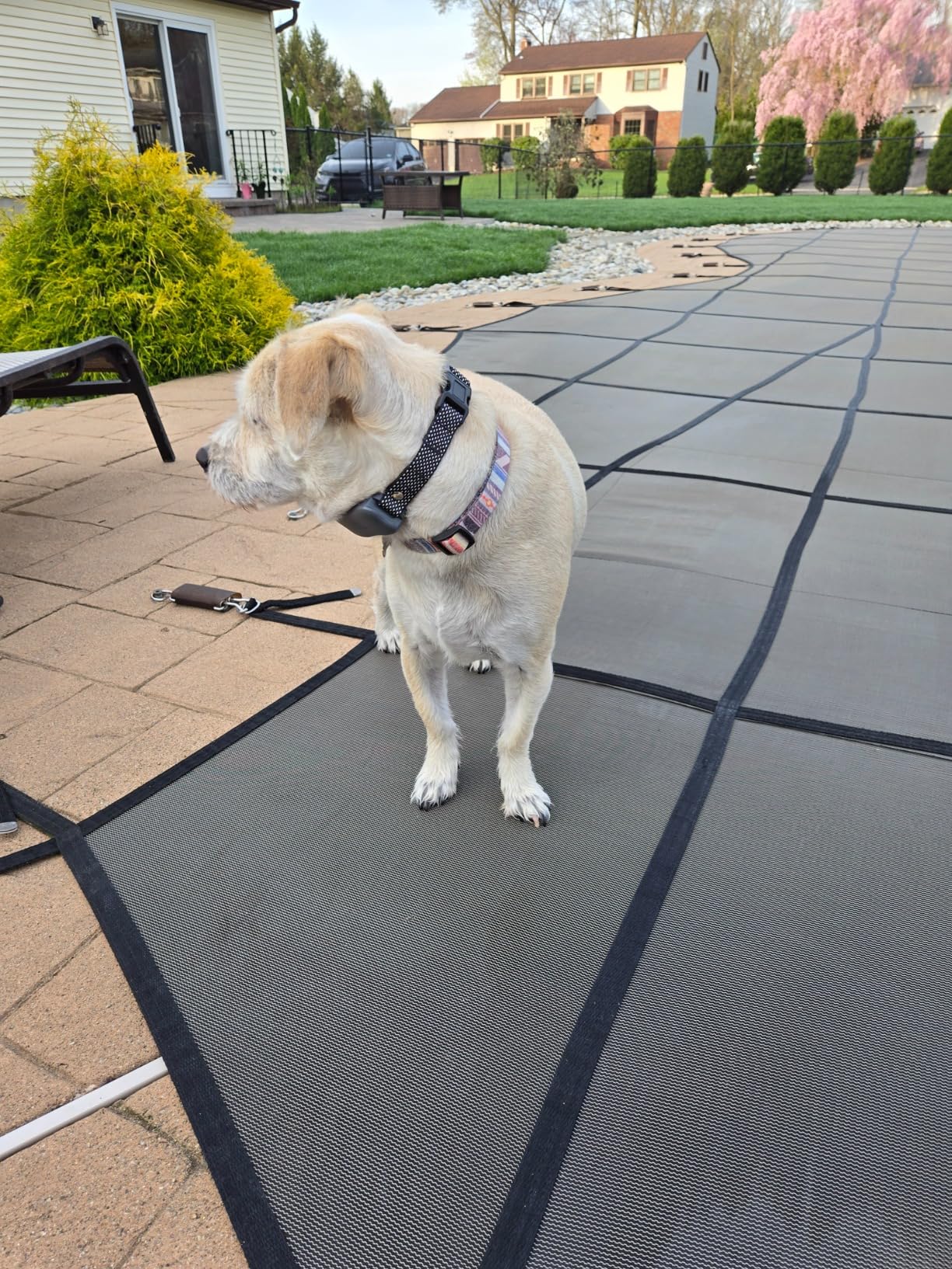 Htcuto 2-in-1 Wireless Dog Fence System 856 Acre for Medium Large Dogs | Htcuto Wireless Dog Fence Pet Containment System Electric Perimeter Boundary 856 Acre with Remote Training Collar for 2 Dogs customer photo 1