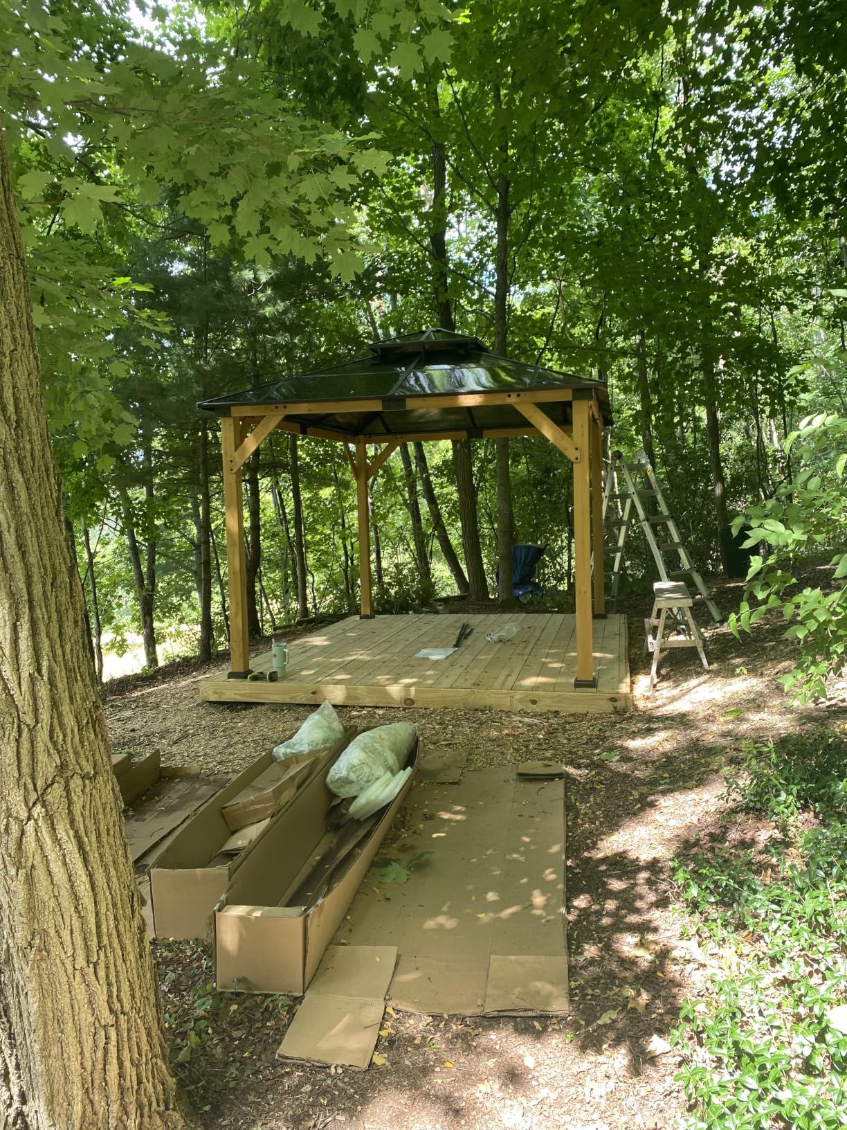 Aoxun 10' x 12' Wood Gazebo with Double Polycarbonate Roof, Outdoor Hardtop Gazebo, Permanent Wooden Pavilion with Breathable Netting and Privacy Curtain for Patio, Garden, Cedar Wood customer photo 2