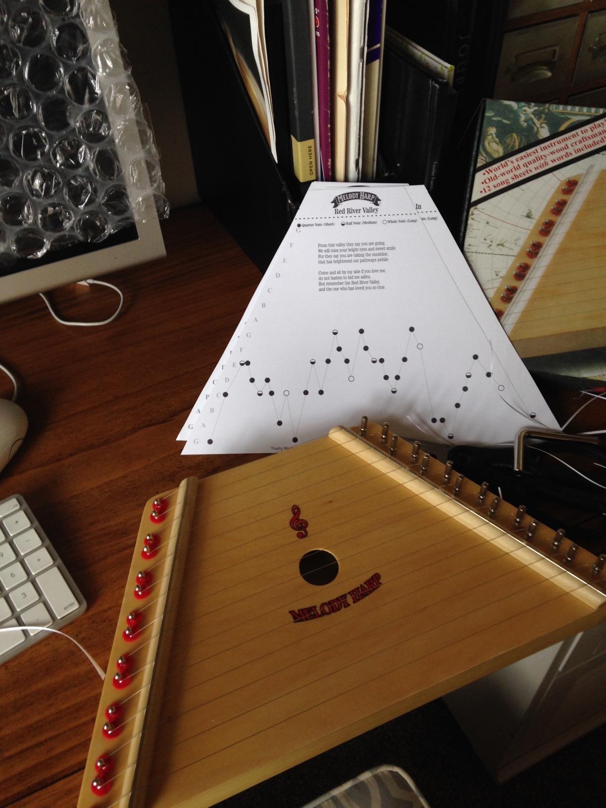 First Note FN600 Firstnote Melody Harp customer photo 1