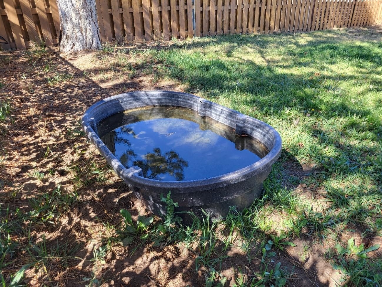 Rubbermaid Commercial Products Stock Tank, 50-Gallons, Structural Foam, Heavy Duty Container, for Livestock/Animal/Cattle Feed & Water, Outdoor Homemade Pool/Hot Tub/Bathtub, & Pet Cleaning/Dog Wash customer photo 1