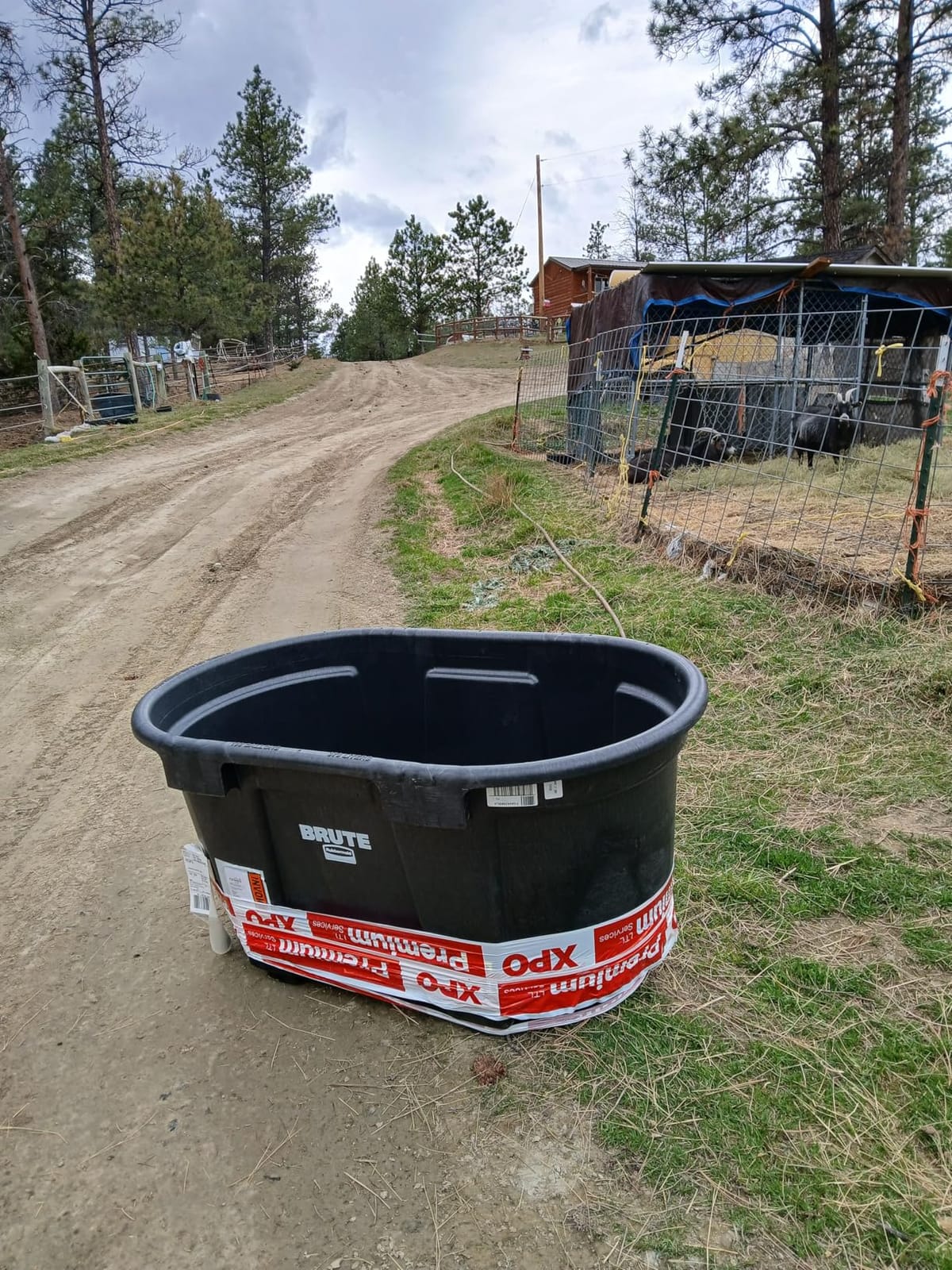 Rubbermaid Commercial Products Stock Tank, 50-Gallons, Structural Foam, Heavy Duty Container, for Livestock/Animal/Cattle Feed & Water, Outdoor Homemade Pool/Hot Tub/Bathtub, & Pet Cleaning/Dog Wash customer photo 2