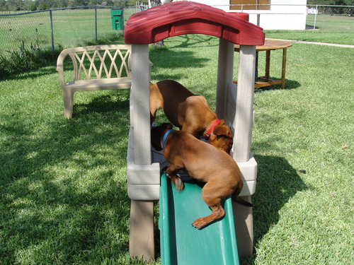Step2 Play Naturally Playful Lookout Treehouse, Kids Outdoor Playset, Backyard Playground Set, Slide, Ladder, Pivoting Periscope, Outside Jungle Gym, For Toddlers 1.5+ Years Old customer photo 1