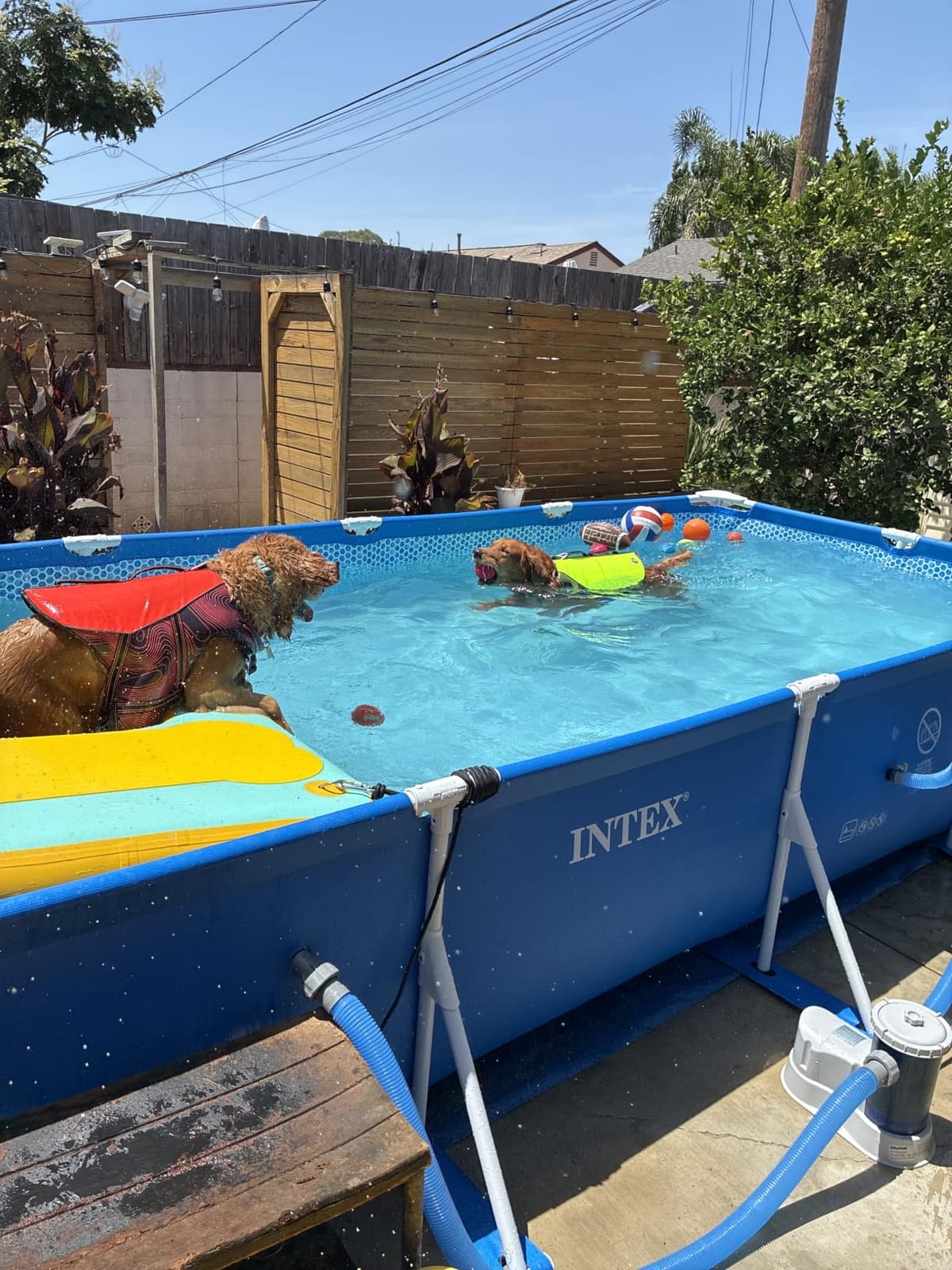 INTEX Metal Frame 14ft 9in x 7ft 3in x 33in Above Ground Swimming Pool | 28273EH - Pool Only (Pump Not Included) customer photo 2