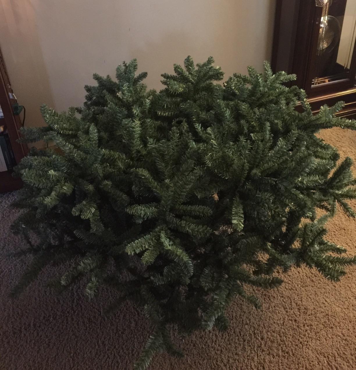 Balsam Hill 6.5ft Unlit Classic Blue Spruce - Artificial Christmas Tree with 2,144+ Tips, Premium Stand & Easy Assembly for Indoor Holiday Decorating customer photo 1