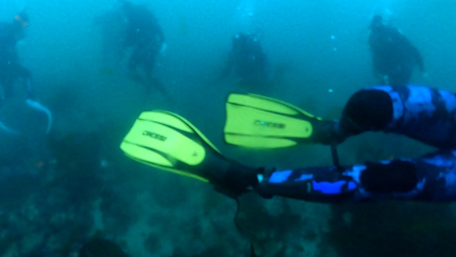 Cressi Lightweight Well-Balanced Open Heel Scuba Diving Fins - Pro Light: Made in Italy customer photo 2