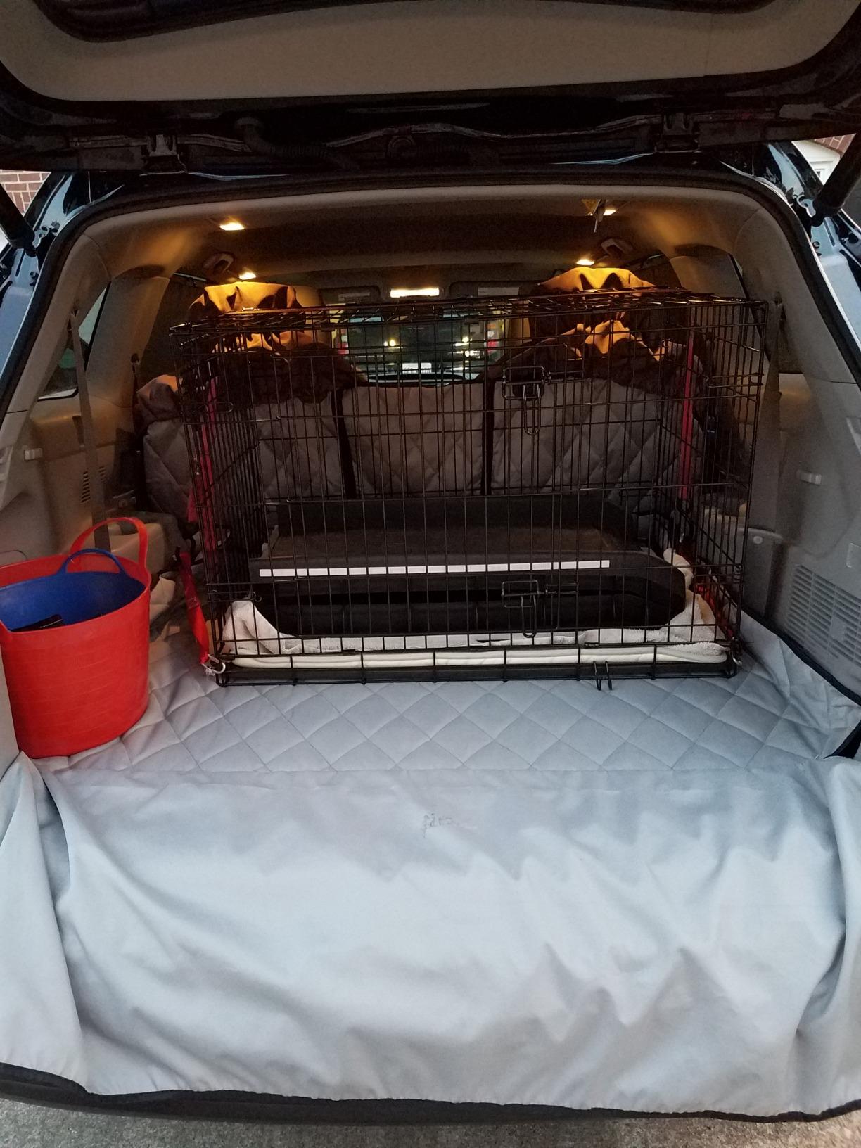 PetSafe Happy Ride Folding Dog Ramp | Extends 62 in, Lightweight Ramp Folds for Storage, High-Traction Surface, Side Rails & Rubber Feet, Supports up to 150 Lb customer photo 2