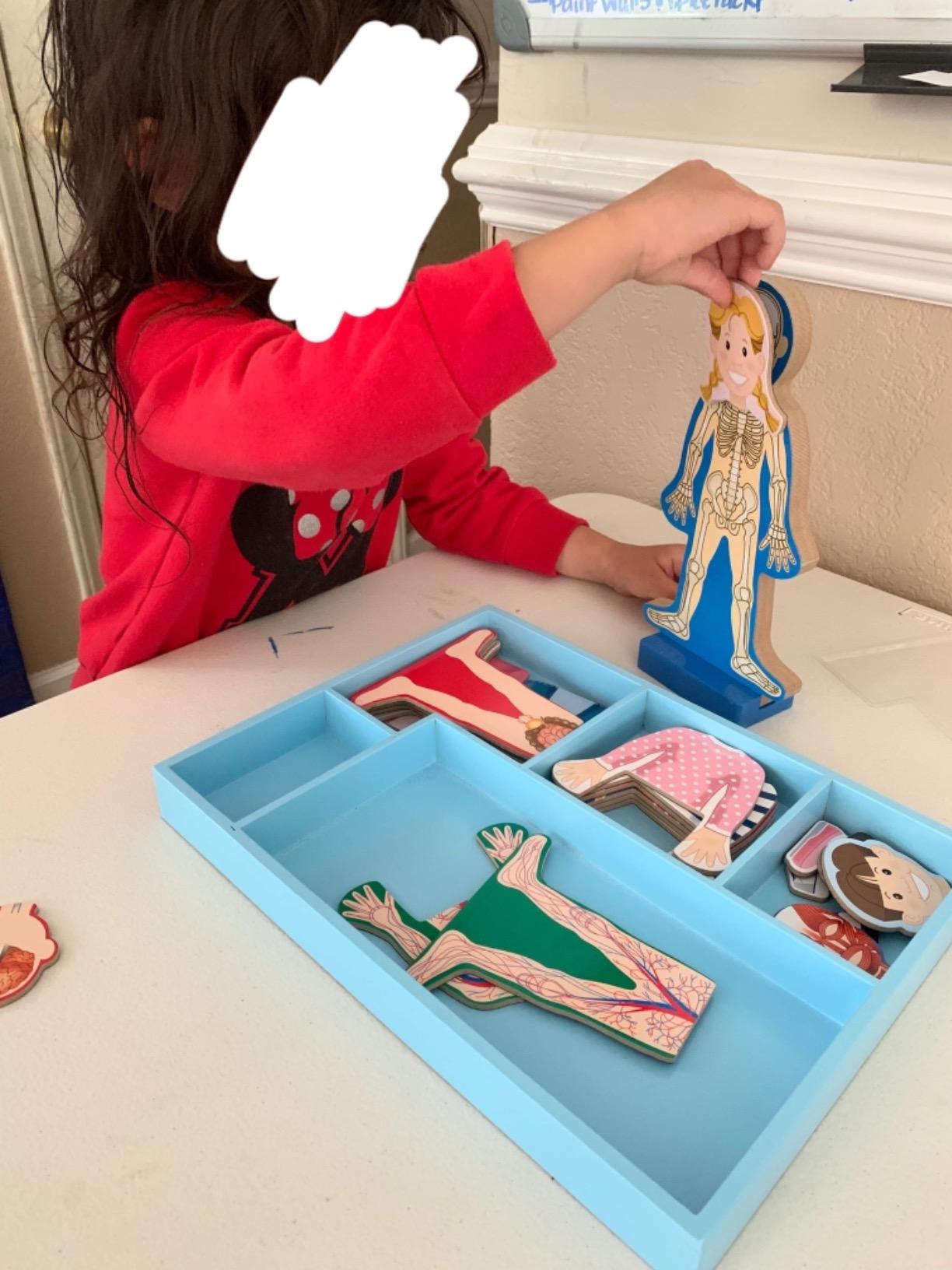 Melissa & Doug Magnetic Human Body Anatomy Play Set with 24 Magnetic Pieces and Storage Tray customer photo 1