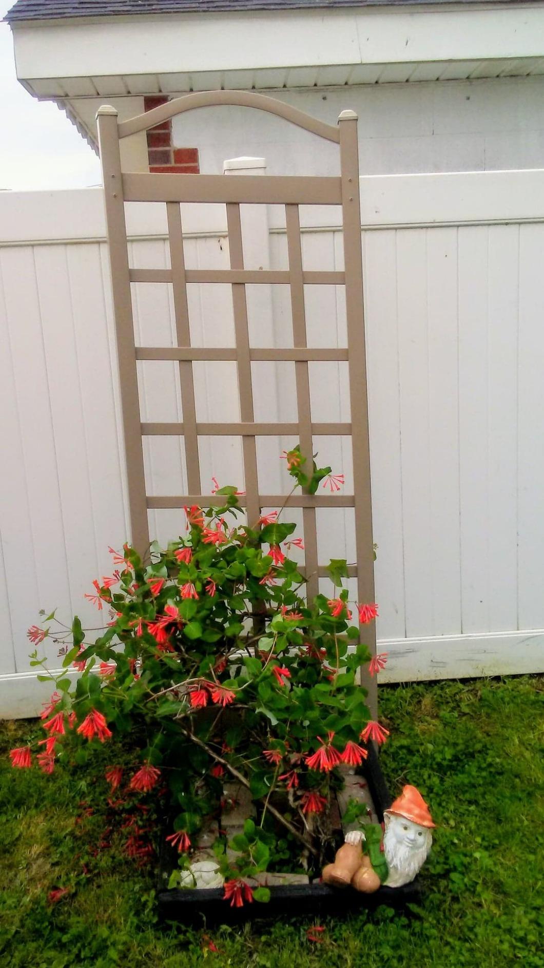 Dura-Trel Cambridge Garden Vinyl Trellis, Wall Mount Plant Support Frame, 28