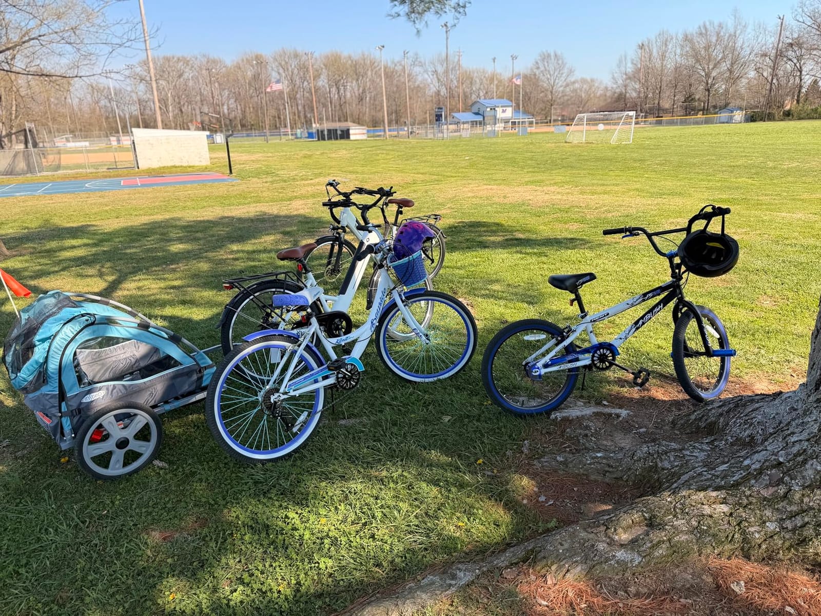 InStep Take 2 Kids Bike Trailer, Double Seat, Universal Coupler, Folding Frame, Quick-Release Wheels, Canopy with Bug Screen and Weather Shield, Bike Trailer for Kids customer photo 2