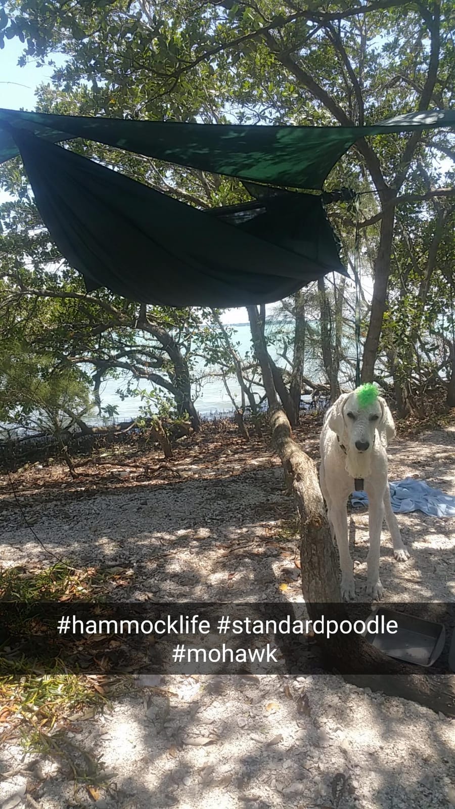 Hennessy Hammock Expedition Zip customer photo 1