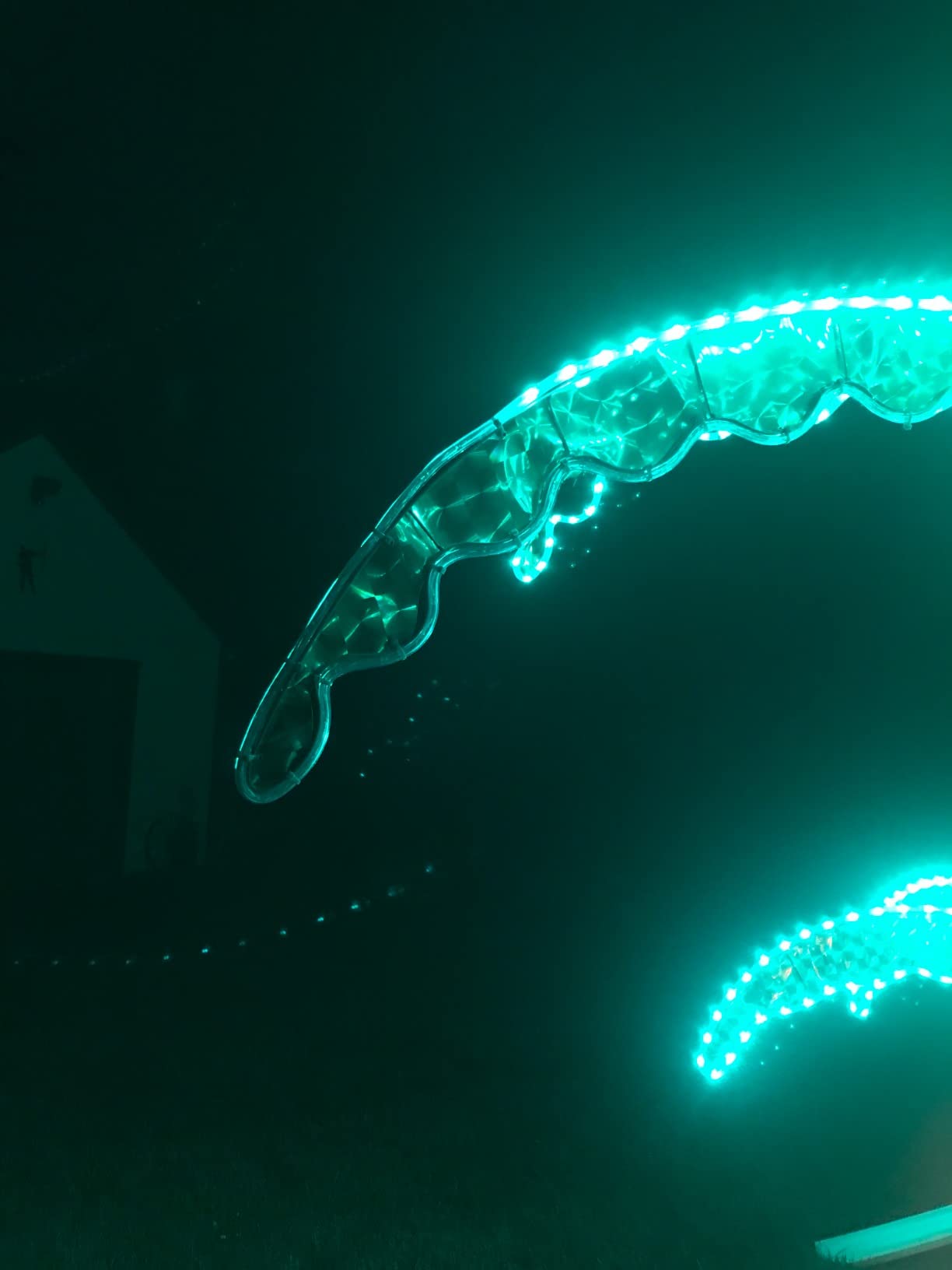 LED Deluxe Rope Light Palm Tree - Green - 7' Deluxe LED Lighted Palm Tree customer photo 1