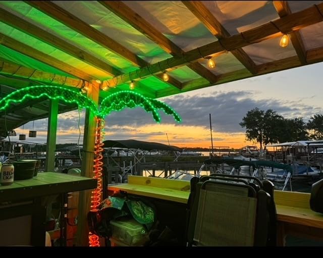 LED Deluxe Rope Light Palm Tree - Green - 7' Deluxe LED Lighted Palm Tree customer photo 2