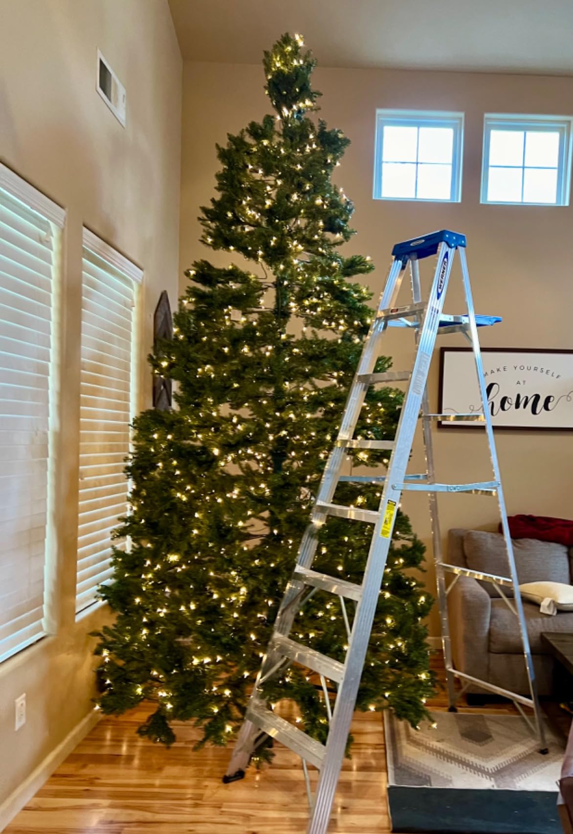 National Tree Company 9ft Pre-Lit Dunhill Fir Artificial Christmas Tree | 900 Clear Lights, 4,026 Tips, Includes Stand, Green customer photo 1