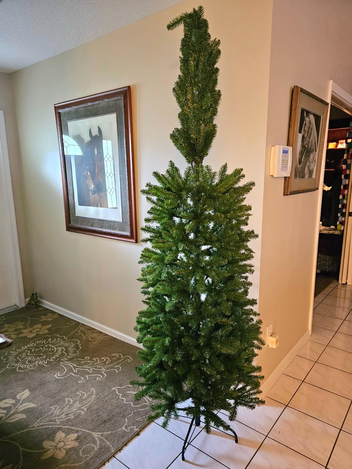 National Tree Company 7.5ft Unlit Kingswood Fir Slim Christmas Tree | 1,075 Tips, Includes Stand, Artificial, Green customer photo 1