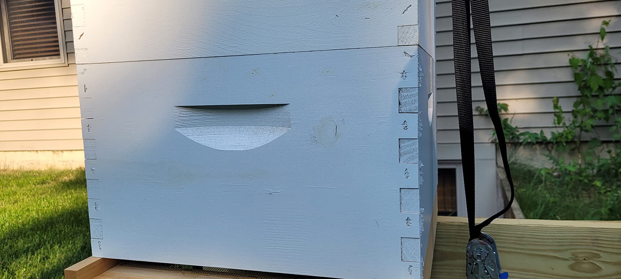 Mann Lake Traditional Complete Bee Hive Kit, 9⅝