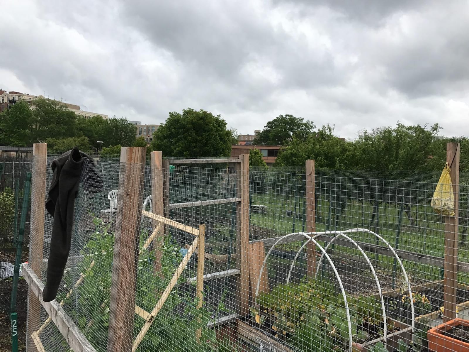 YARDGARD 2 in. x 4 in. Mesh Welded Wire Fence Roll, 48 in. x 50 ft., 14-Gauge Galvanized Steel Fence for Animal Enclosures, Garden Protection and Property Fencing, Rabbit Control an Utility Fence customer photo 2