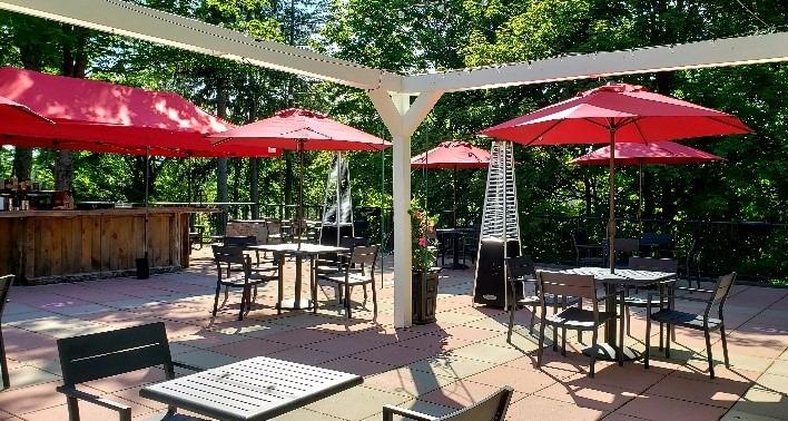 Outdoor Propane Patio Heater - Commercial LP Gas Porch & Deck Heater - Black customer photo 2