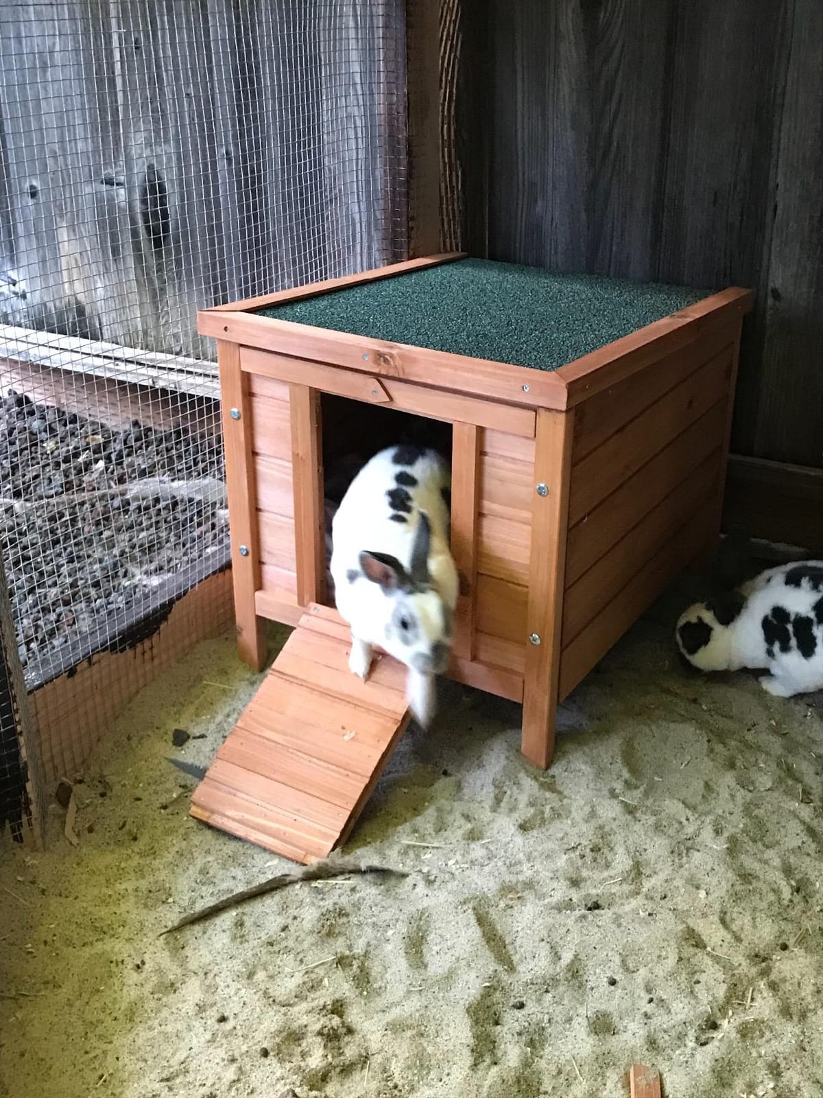 PawHut Small Wooden Rabbit Hutch Bunny Cage Guinea Pig Cage Duck House Dog House with Openable & Waterproof Roof, Natural customer photo 1