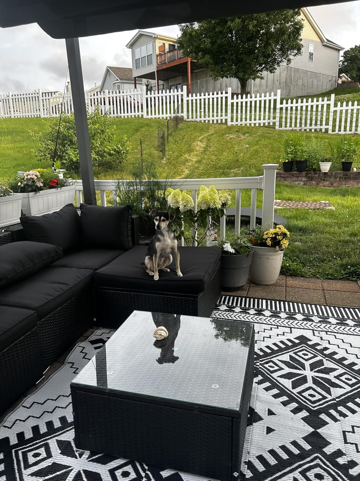 Dog Playpen - Foldable Metal Exercise Puppy Play Pen with 8 24x30in Panels - Indoor/Outdoor Pen with Door for Dogs, Cats or Small Animals by PETMAKER customer photo 2