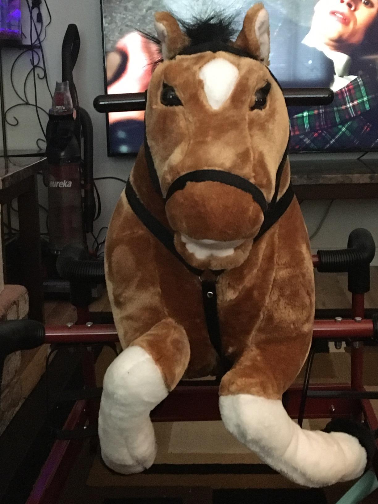 Qaba Spring Rocking Horse Durable Plush for Toddlers with Realistic Sounds - Bouncing Rocker Toy customer photo 1