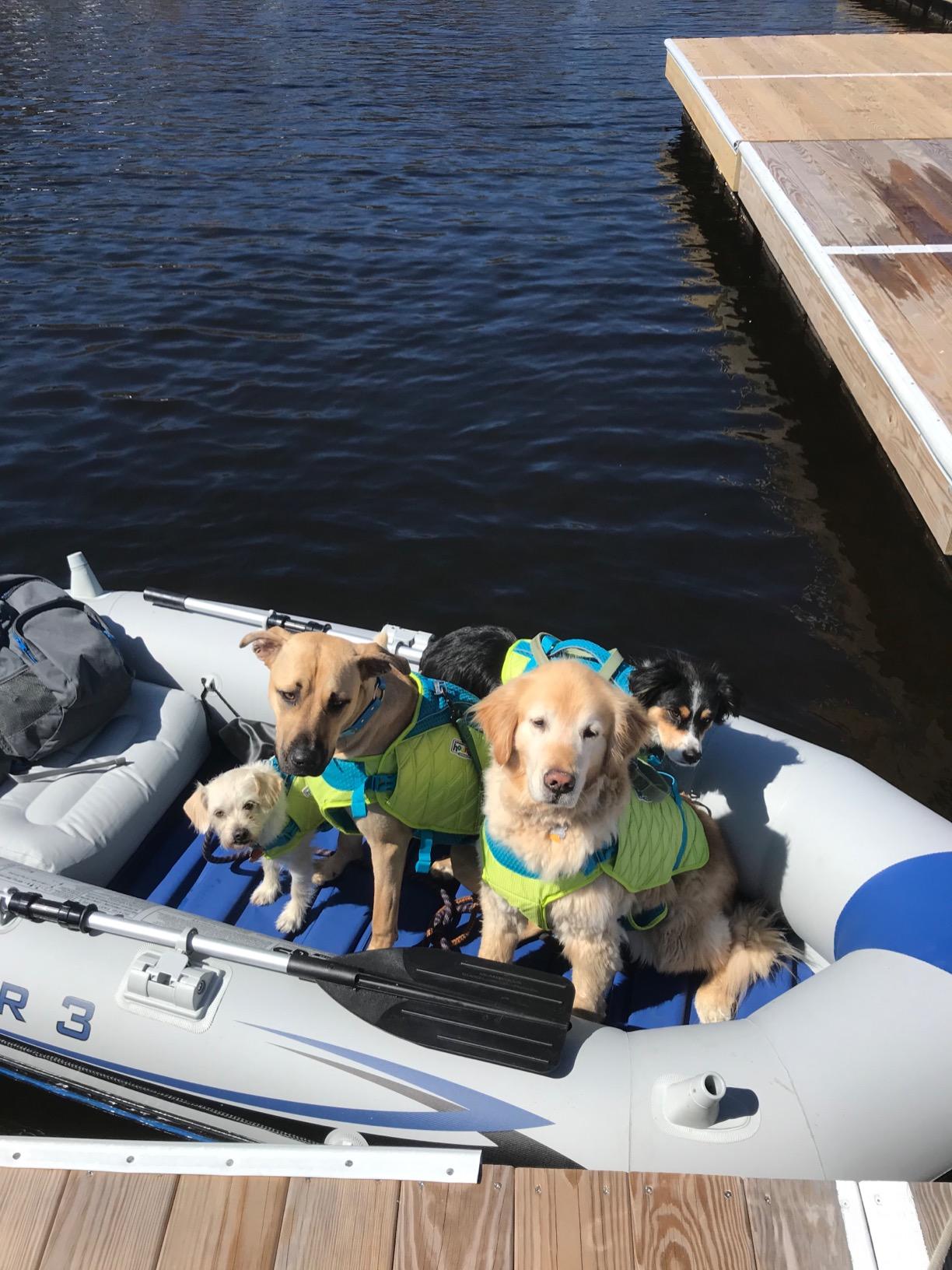 Intex Mariner Inflatable Boat Series: Includes Deluxe Boat Oars and High-Output Pump - SuperTough PVC - Wear-Resistant Keel - Removable Fishing Rod Holders - Heavy Duty Grab Handle customer photo 1