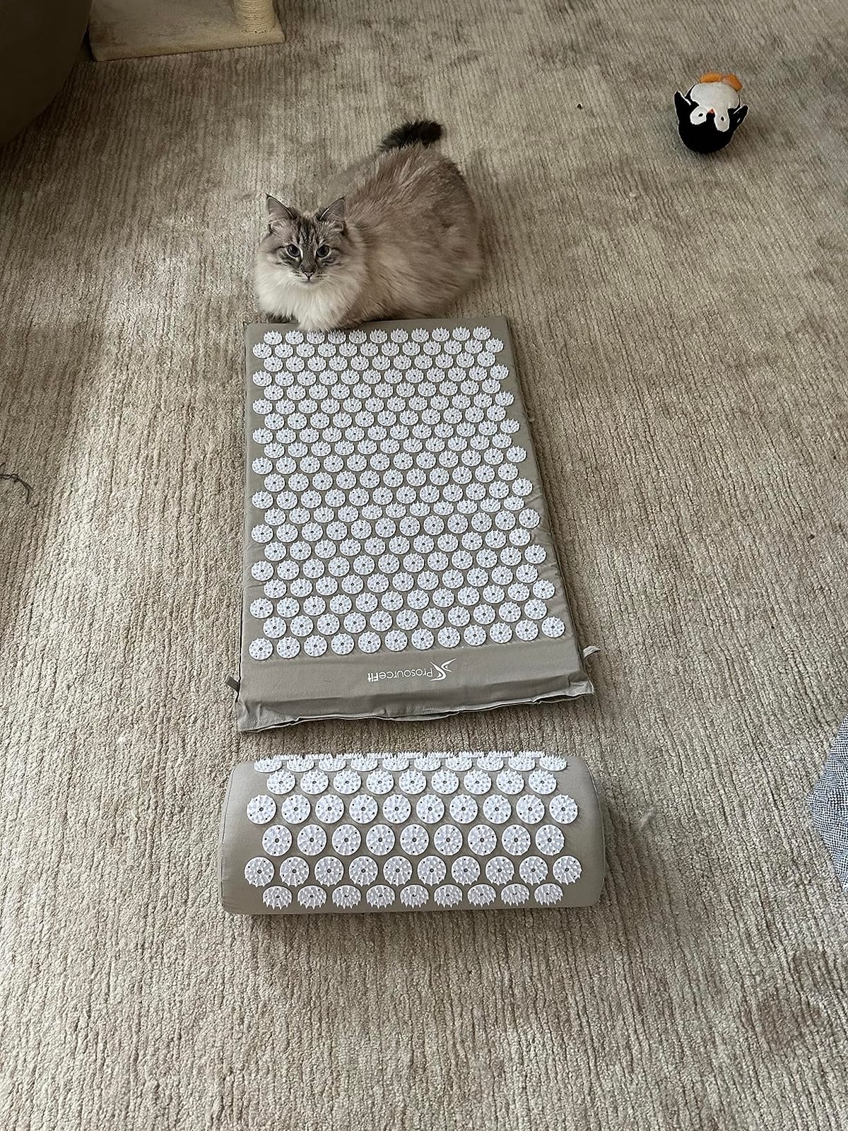 ProsourceFit Acupressure Mat and Pillow Set for Back/Neck Pain Relief and Muscle Relaxation, Blue customer photo 2