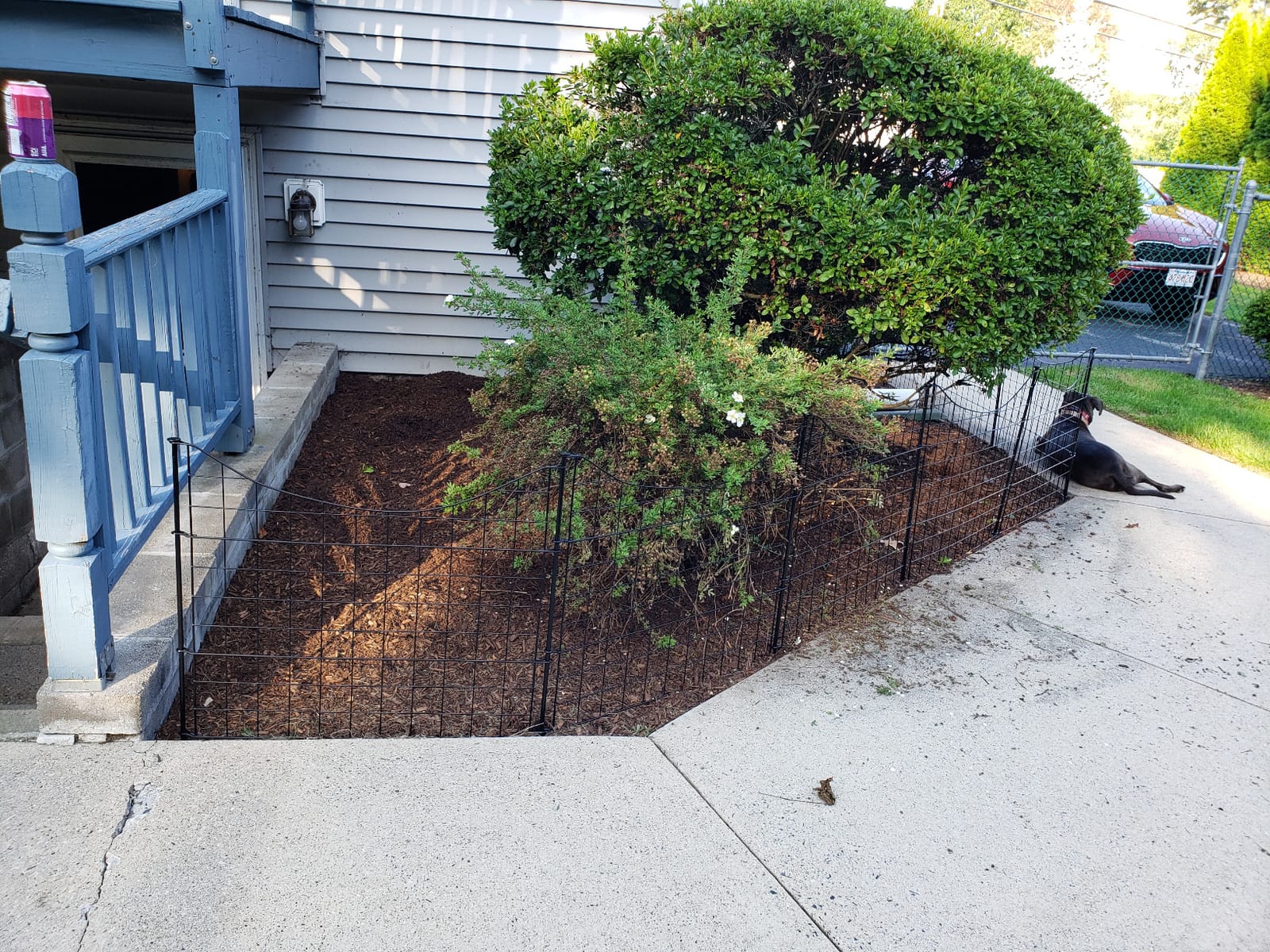 Zippity 25in H Black Metal Fence, DIY Fence Kit | 25inH x 29.5W, 5 Panels + 6 Stakes, Great for Small Dogs, WF29001 customer photo 1