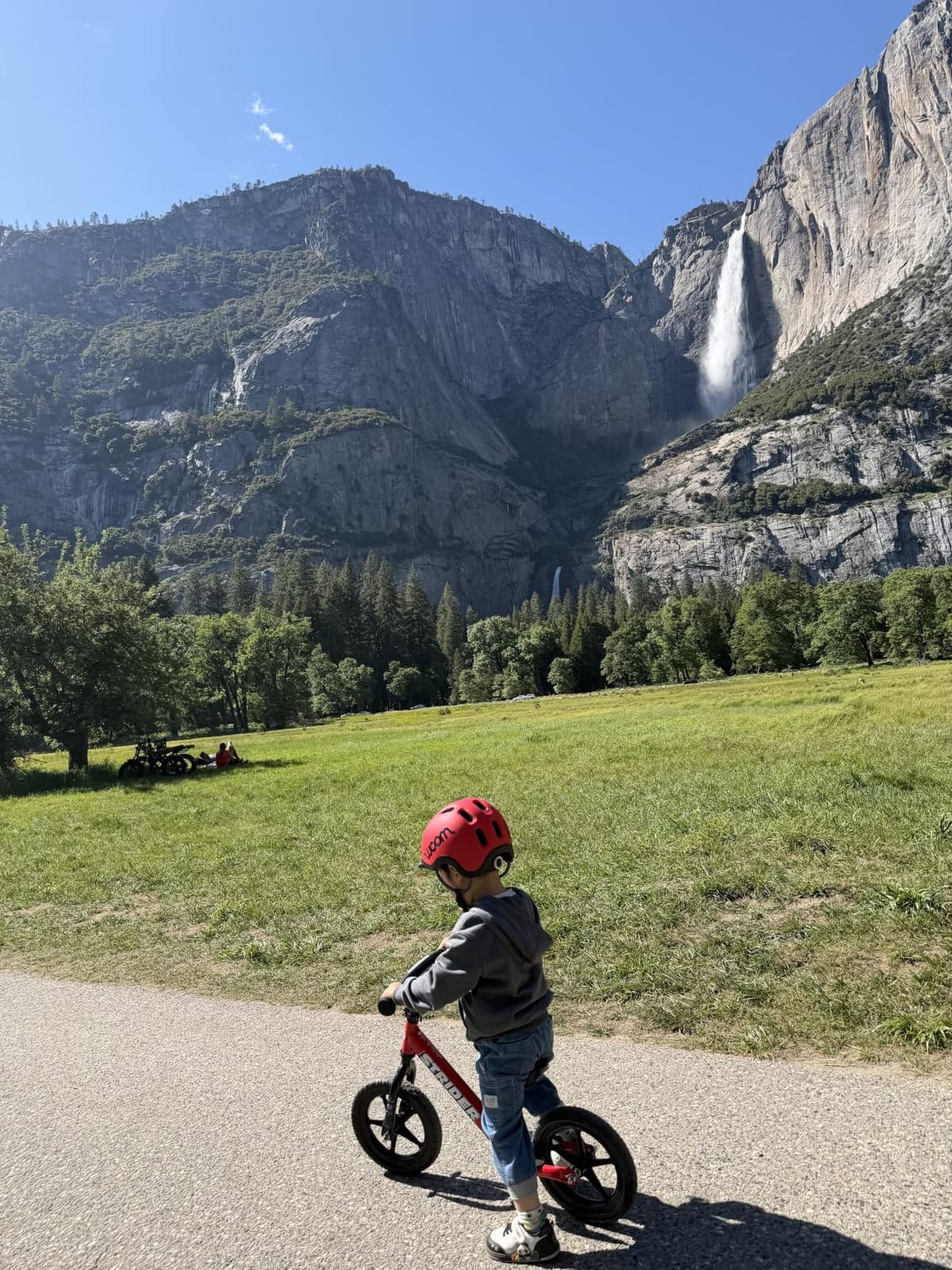Strider 12 Sport, No Pedal Balance Bike for Kids Ages 1-4 Years, Blue customer photo 1