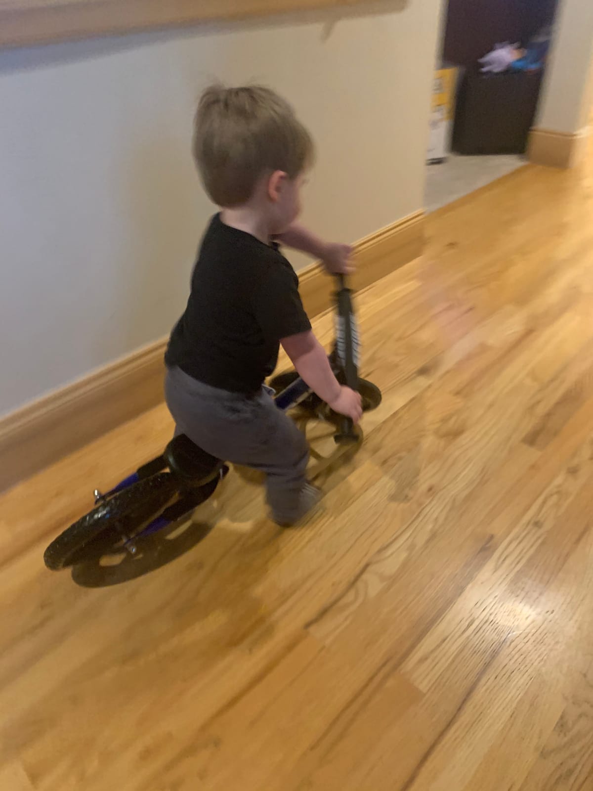 Strider 12 Sport, No Pedal Balance Bike for Kids Ages 1-4 Years, Blue customer photo 2