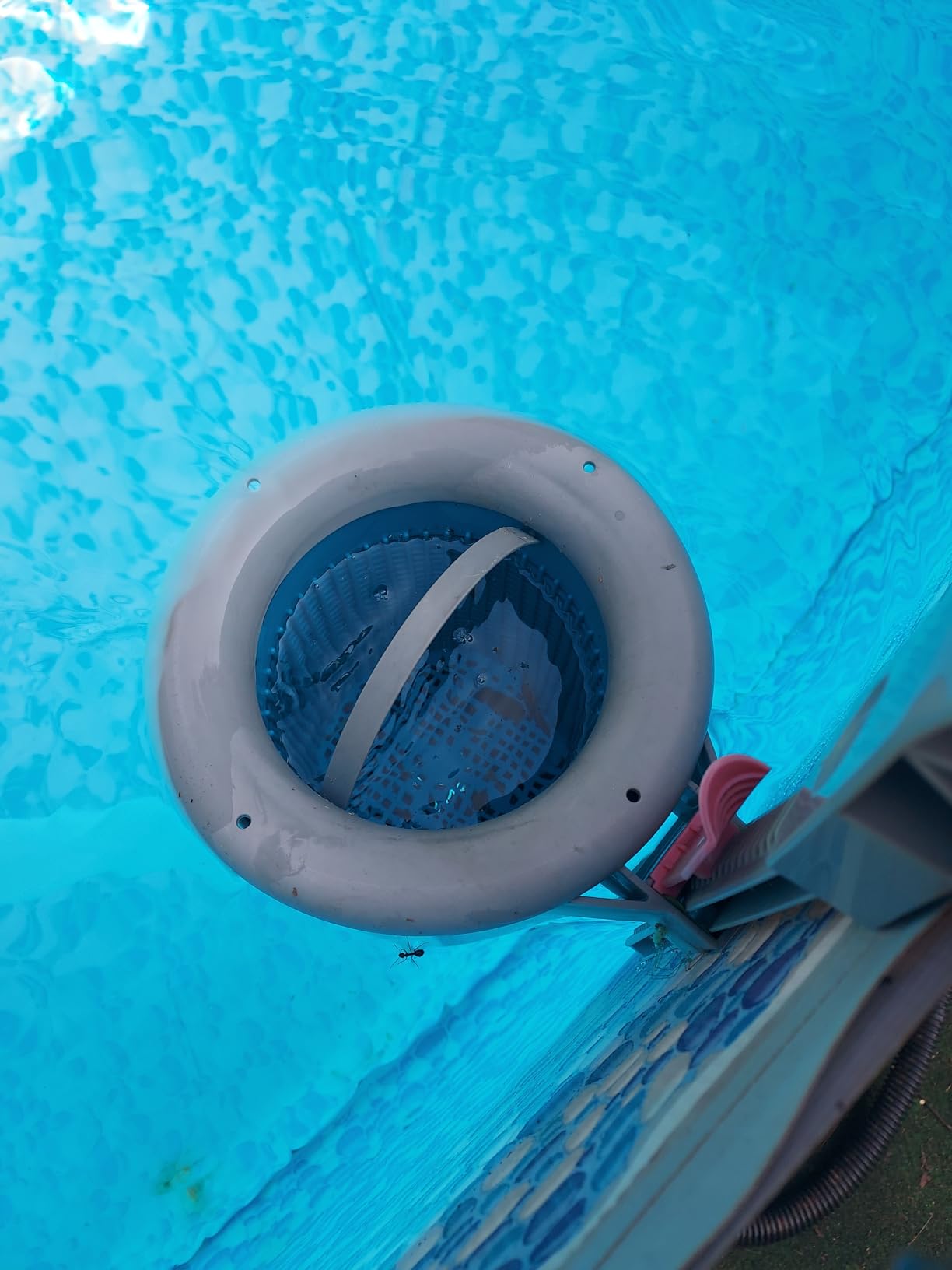Doheny's 1.5 HP Above Ground Swimming Pool Pump | 115V, 83 GPM (1.2 THP), Stainless Steel Shaft, Reinforced Thermoplastic, Low-Noise, High-Efficiency customer photo 1