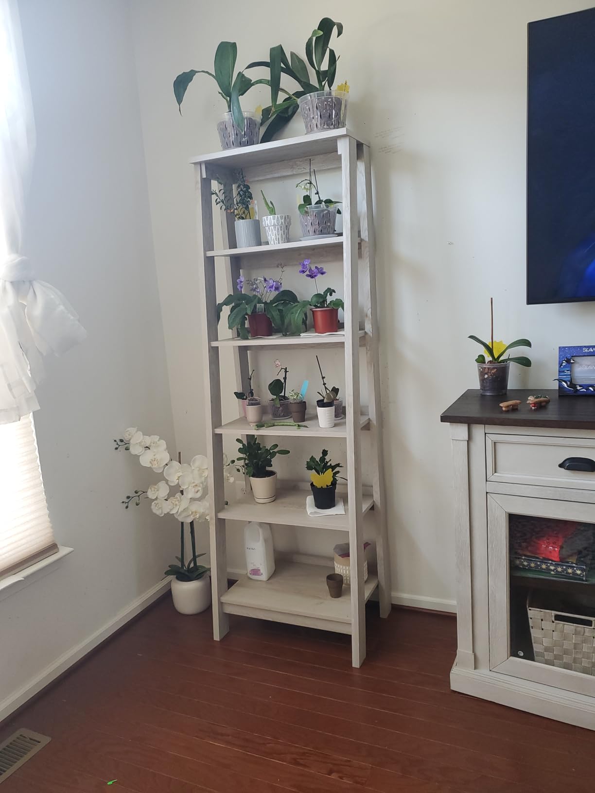 Sauder Ladder Bookshelf 5 Tier Trestle Ladder Shelf Wooden Bookcase, in Jamocha Wood customer photo 2