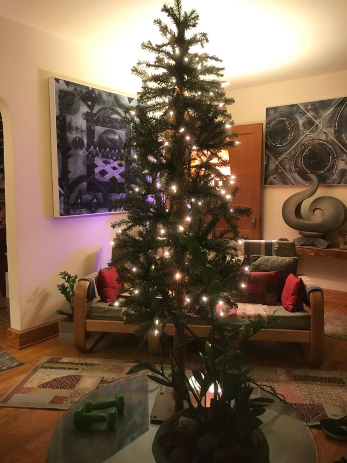 National Tree Company 3ft Pre-Lit Hickory Cedar Mini Christmas Tree | 50 Clear Lights, 139 Tips, Metal Plate Base, Artificial, Green customer photo 1