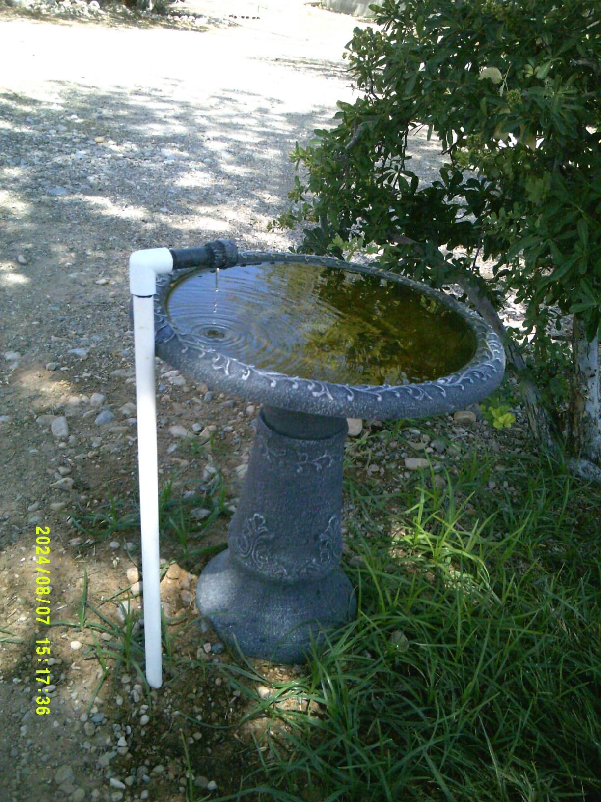 Arcadia Garden Products BB05 Fiberclay Bird Bath Outdoor Garden Decor, Antique Vintage Weather Resistant Water Bowl for Backyard and Patio and, 20-inch Tall, Black customer photo 1