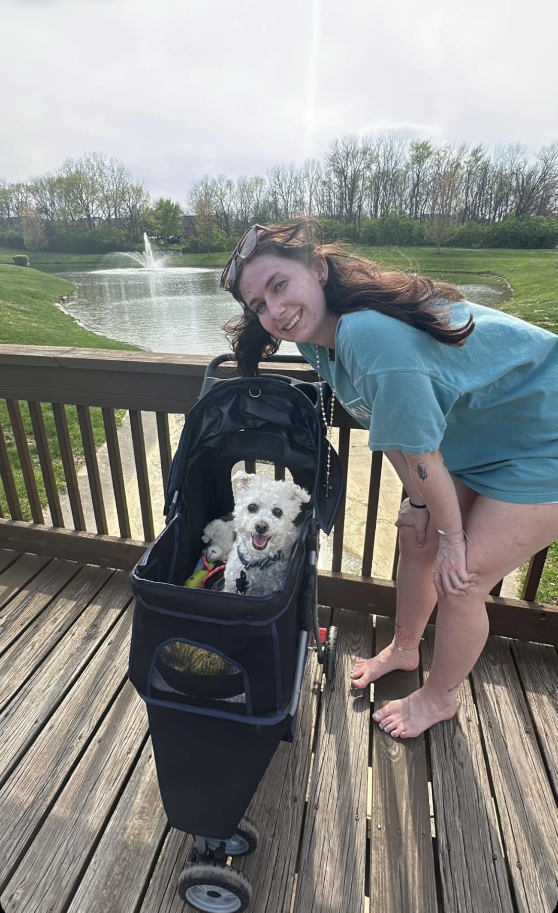 BestPet 3-Wheel Pet Stroller | Dog and Cat Stroller | Breathable Mesh | Lightweight Travel Carrier | Waterproof & Foldable Design | Storage Basket | Black customer photo 2
