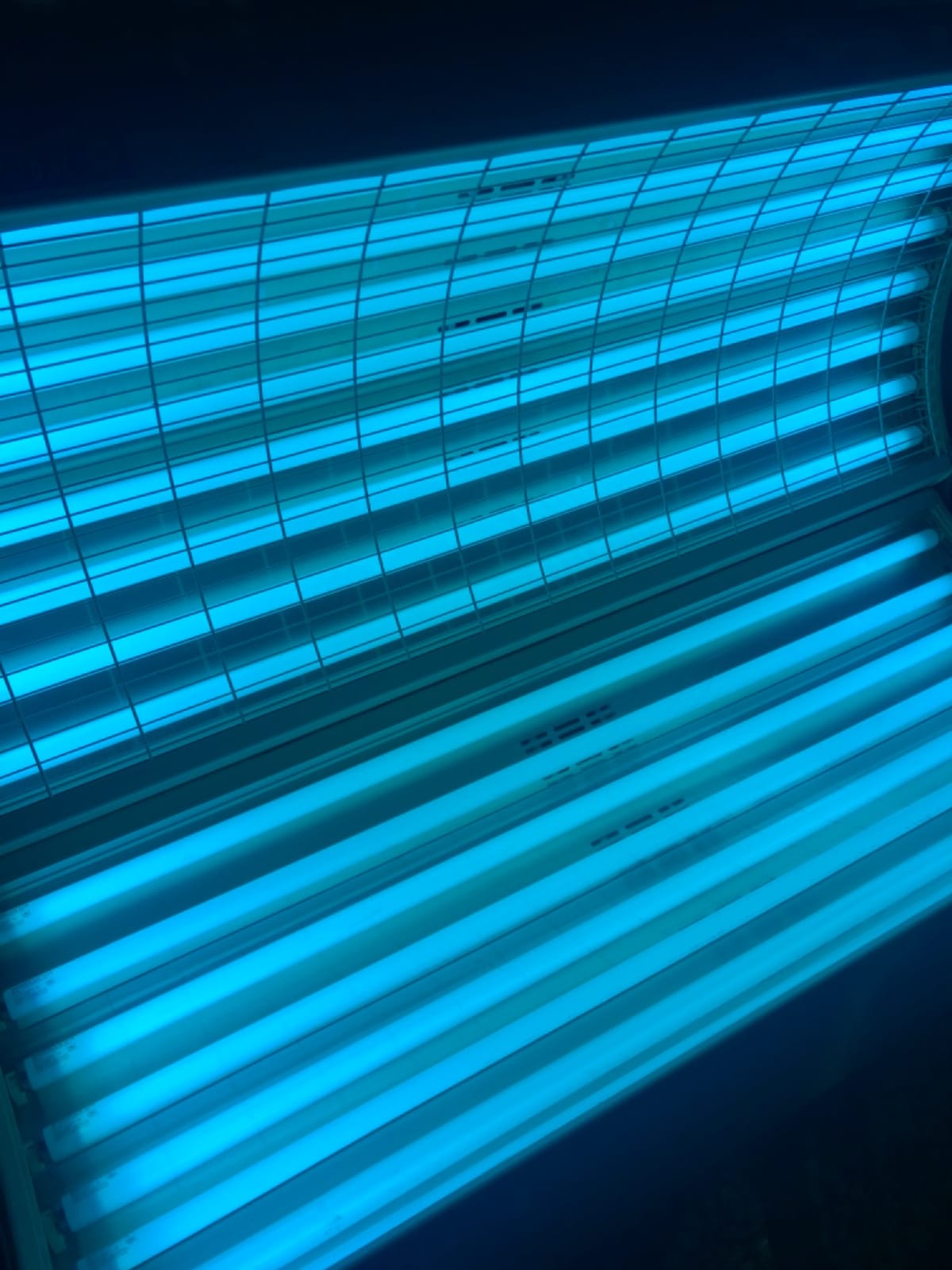 Wolff Bronzing Sun Plus F71 100W Bi Pin Tanning Lamp (16) customer photo 2