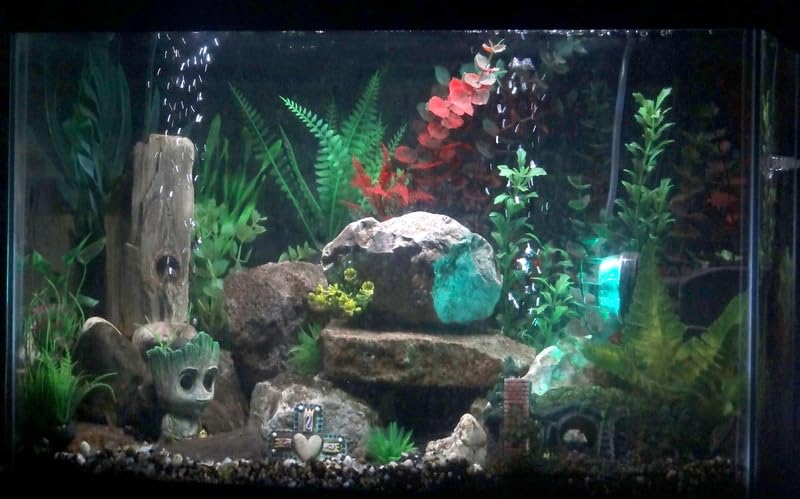 Tetra Aquarium, 20 Gallon, Complete Tropical Fish Tank Kit With LED Lighting And Decor For Freshwater Fish customer photo 2
