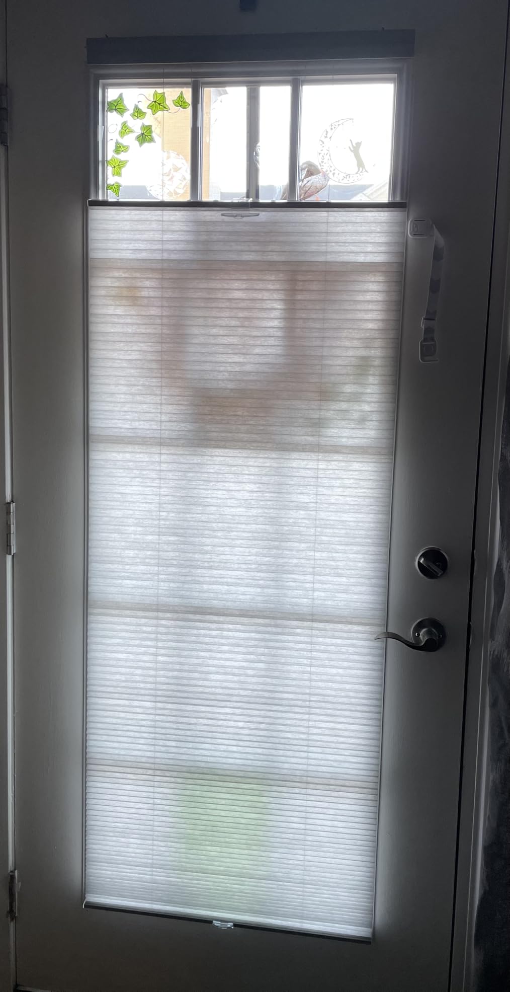 Cordless Cellular Pleated Shades, 35 x 64 in, White, Light Filtering | Cordless Lift and Light-Control Window Coverage: Helps Manage Daylight and Privacy customer photo 2