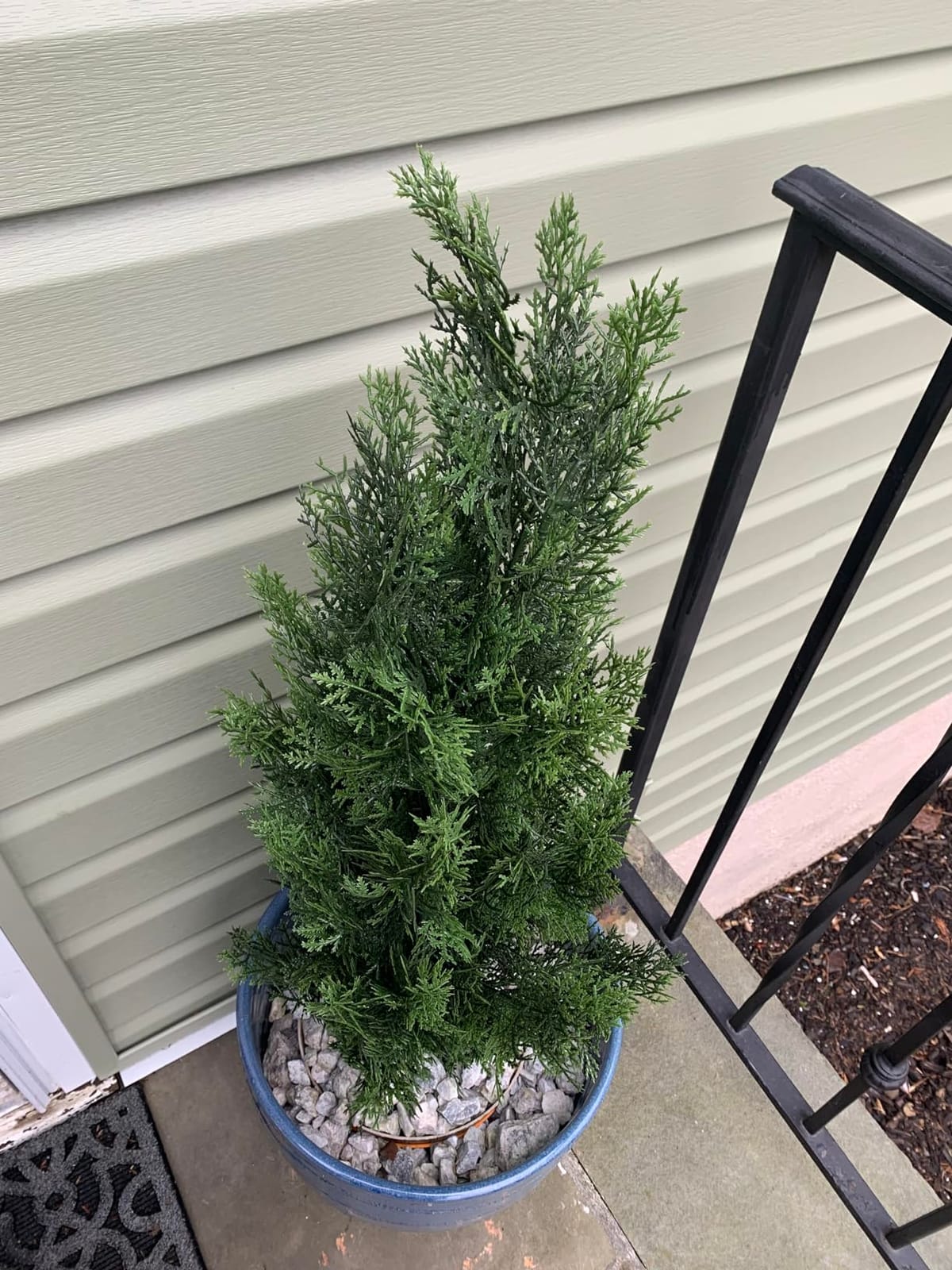 Nearly Natural 3 ft Artificial Mini Cedar Pine Tree for Home Decor | Realistic Foliage, Maintenance-Free Design, Nursery Pot Included, Indoor or Outdoor Use customer photo 2