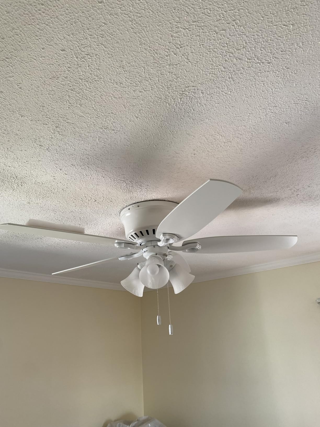 Hunter Builder, Indoor, Ceiling Fan, with LED Lights, 42 inch, Snow White | Low Profile Flush Mount, Pull Chain, 5 Blades, For Bedroom, Living Room, Kitchen, 51090 customer photo 2