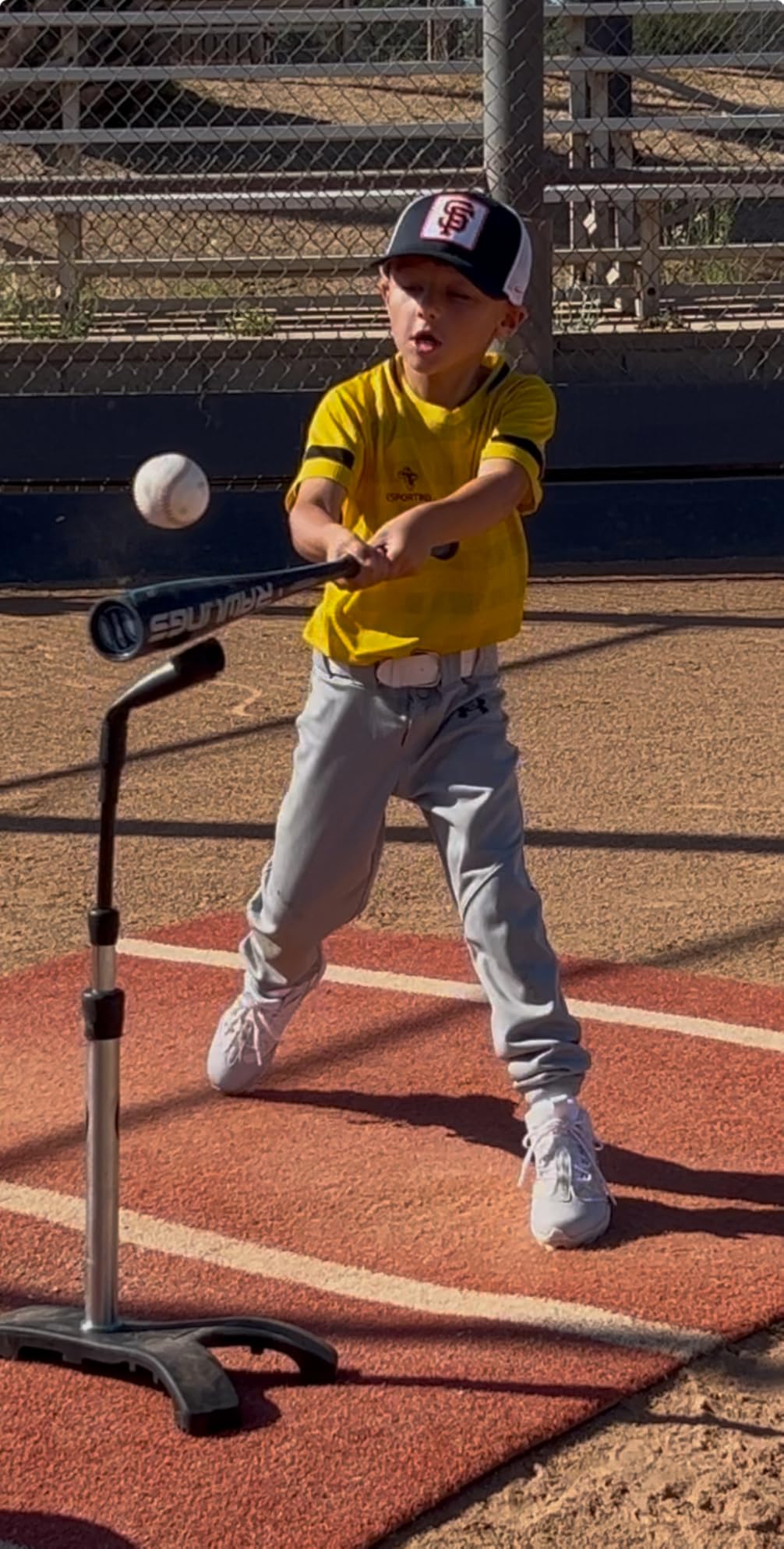 Tanner Heavy Batting Tee | Ultra Durable Hitting Tee with Weighted 
