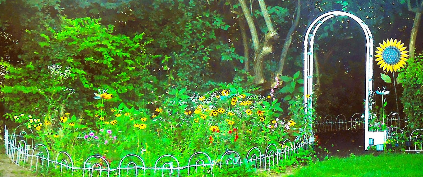 AMAGABELI 6 Panels 18in(H) x 7ft(L) Decorative Garden Fences and Borders for Dogs Rustproof Metal No Dig Fence Panels Garden Edging Border for Animal Barrier Flower Beds Yard Patio customer photo 1